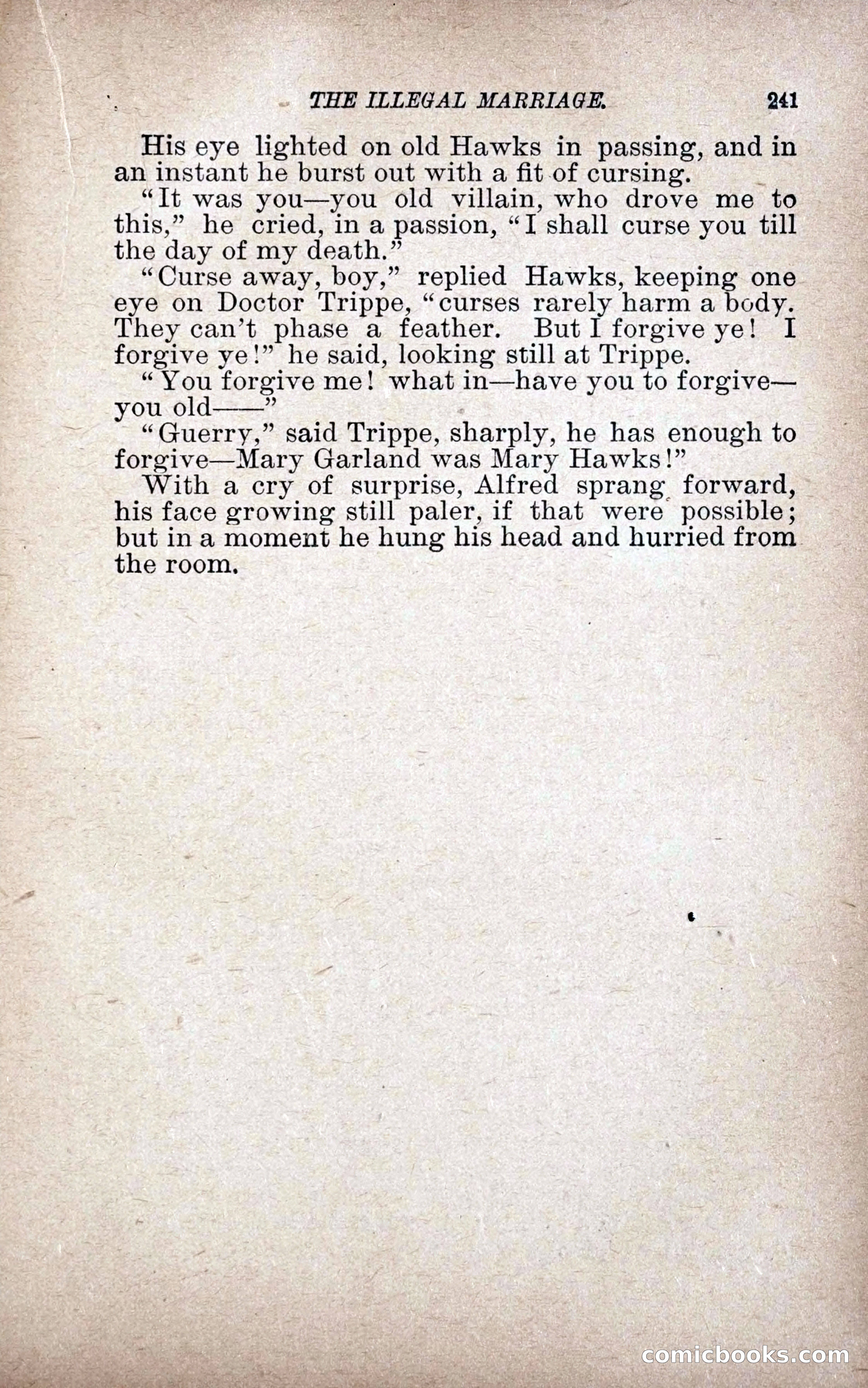 The Illegal Marriage — page 249 of 284