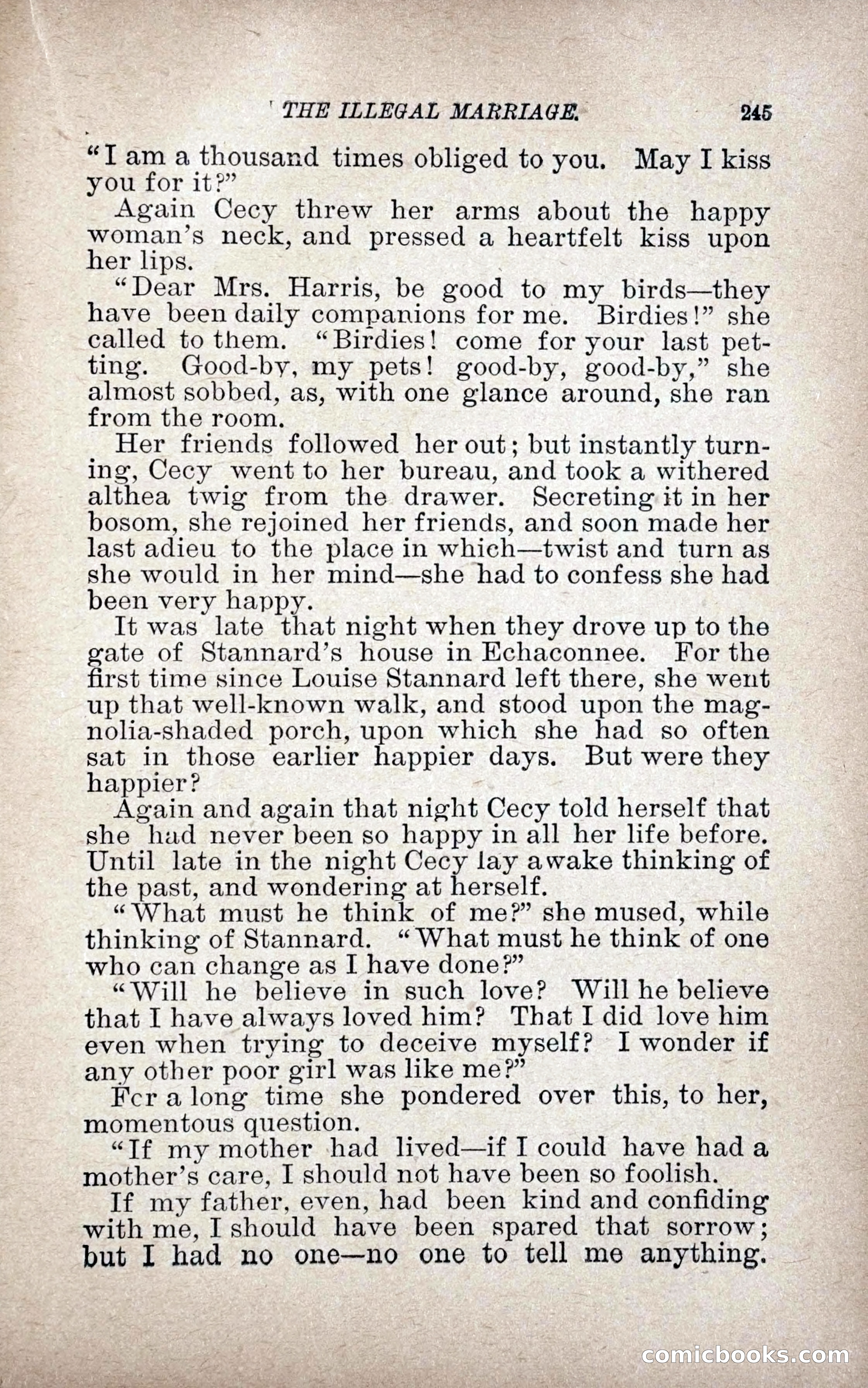 The Illegal Marriage — page 253 of 284