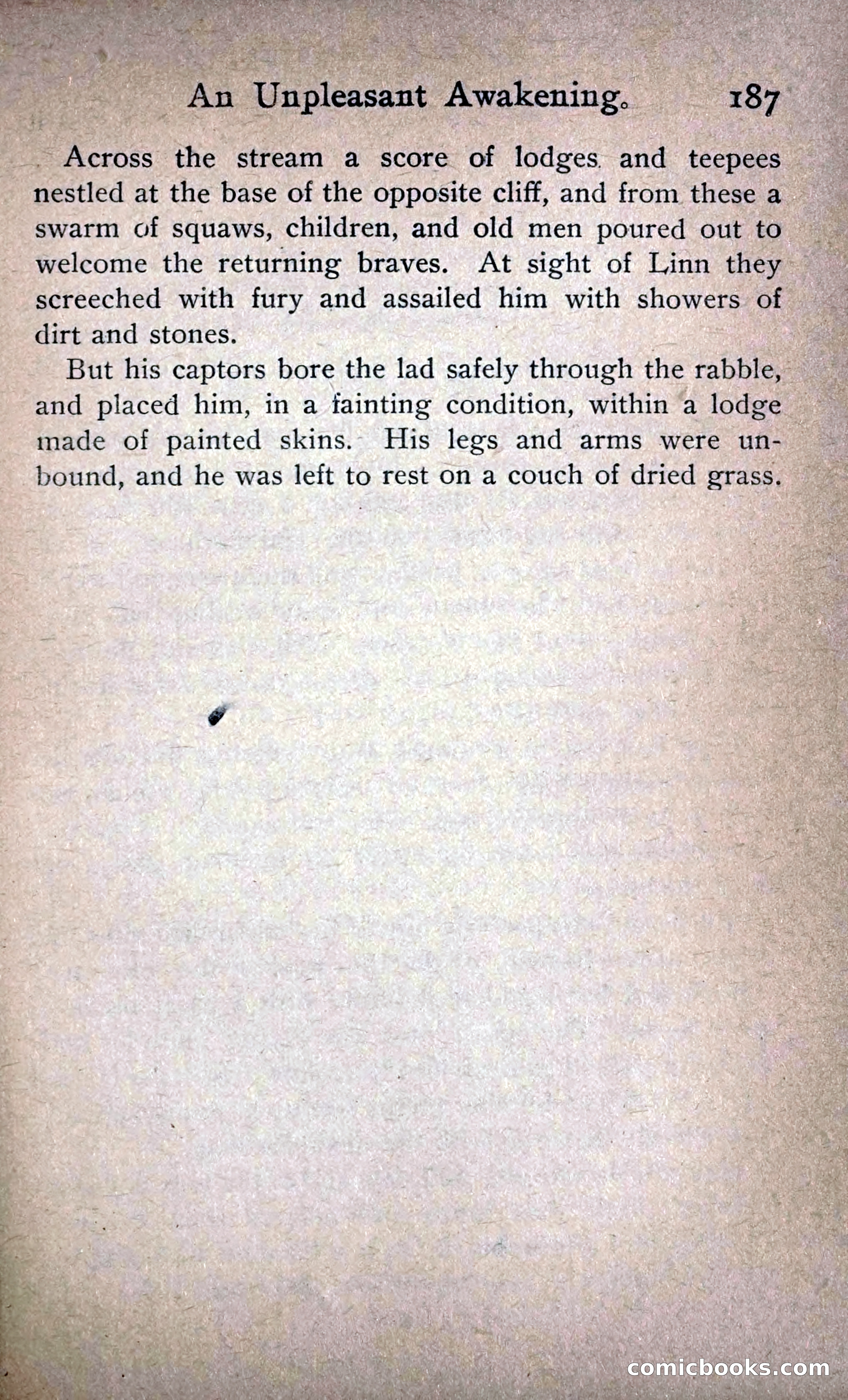 In Barracks and Wigwam — page 197 of 270