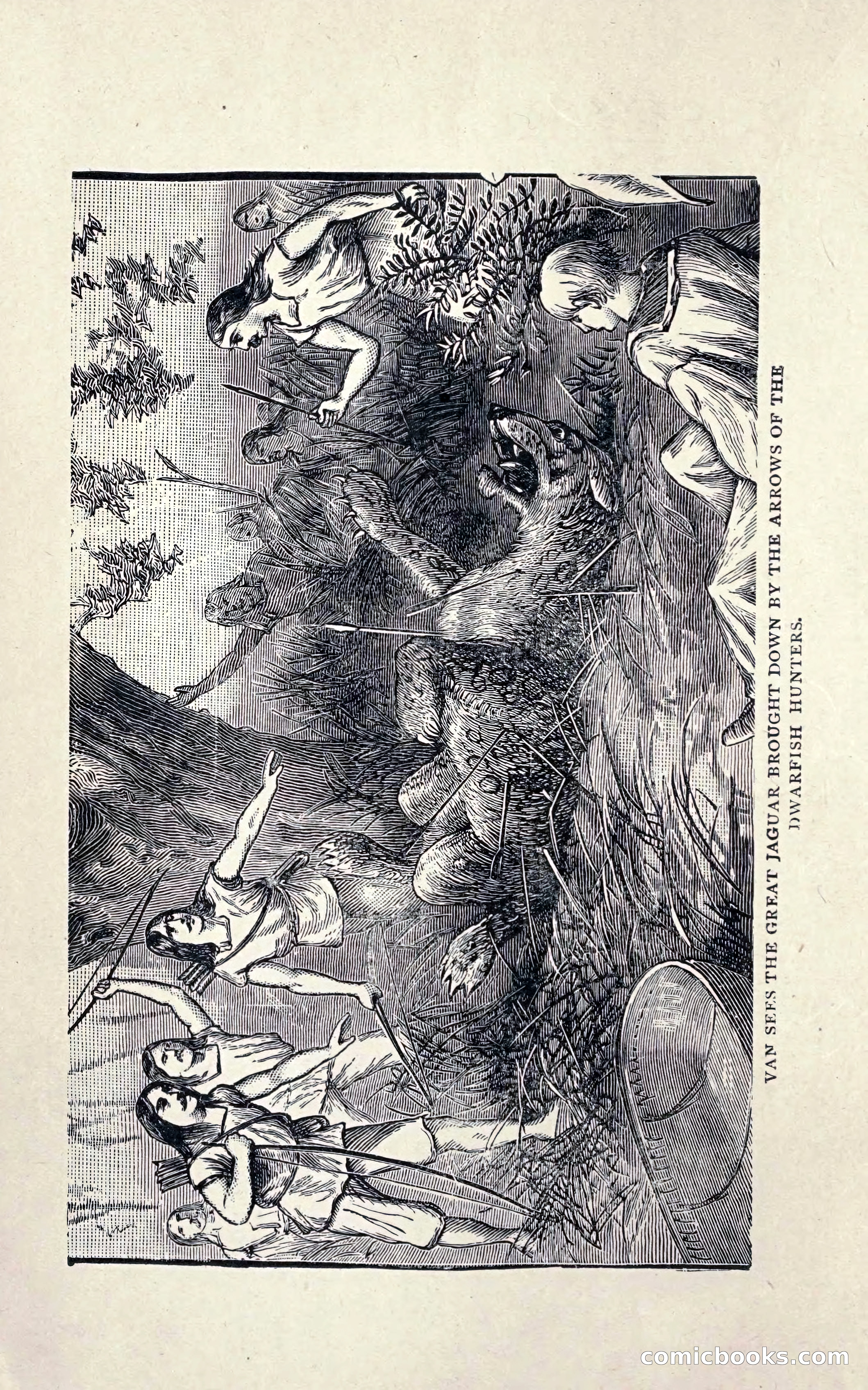 In Search of an Unknown Race — page 12 of 272