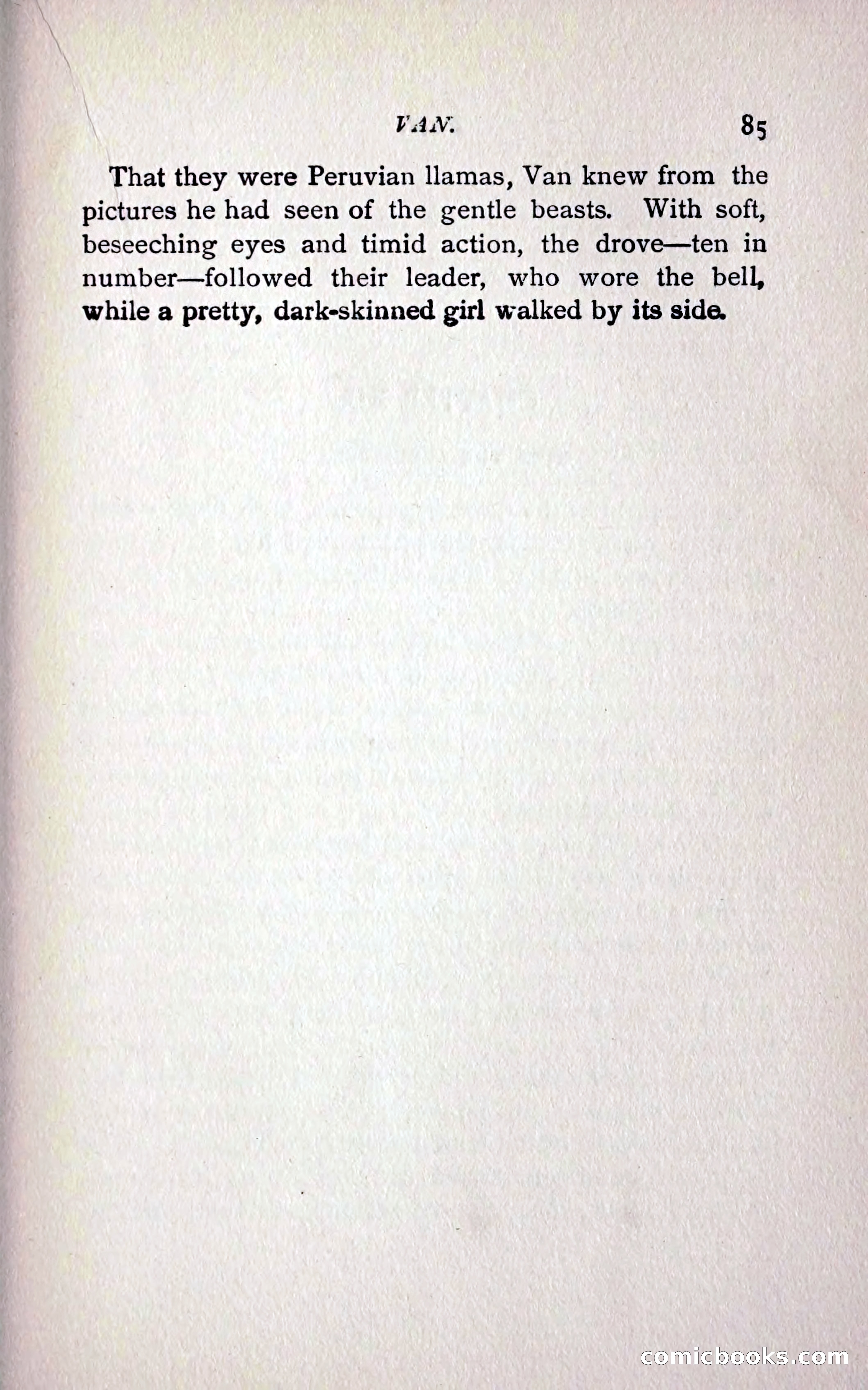 In Search of an Unknown Race — page 95 of 272