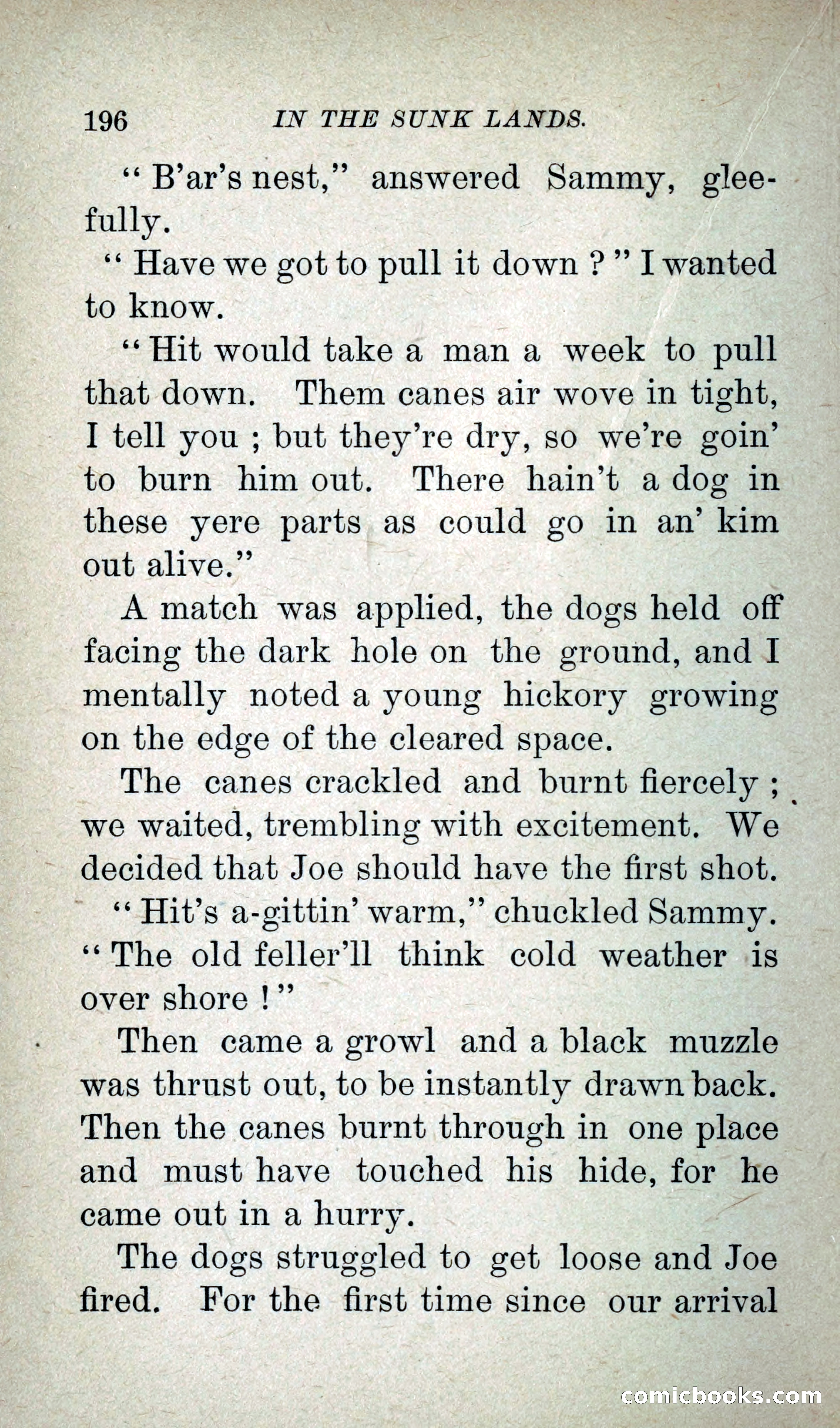 In the Sunk Lands — page 213 of 293