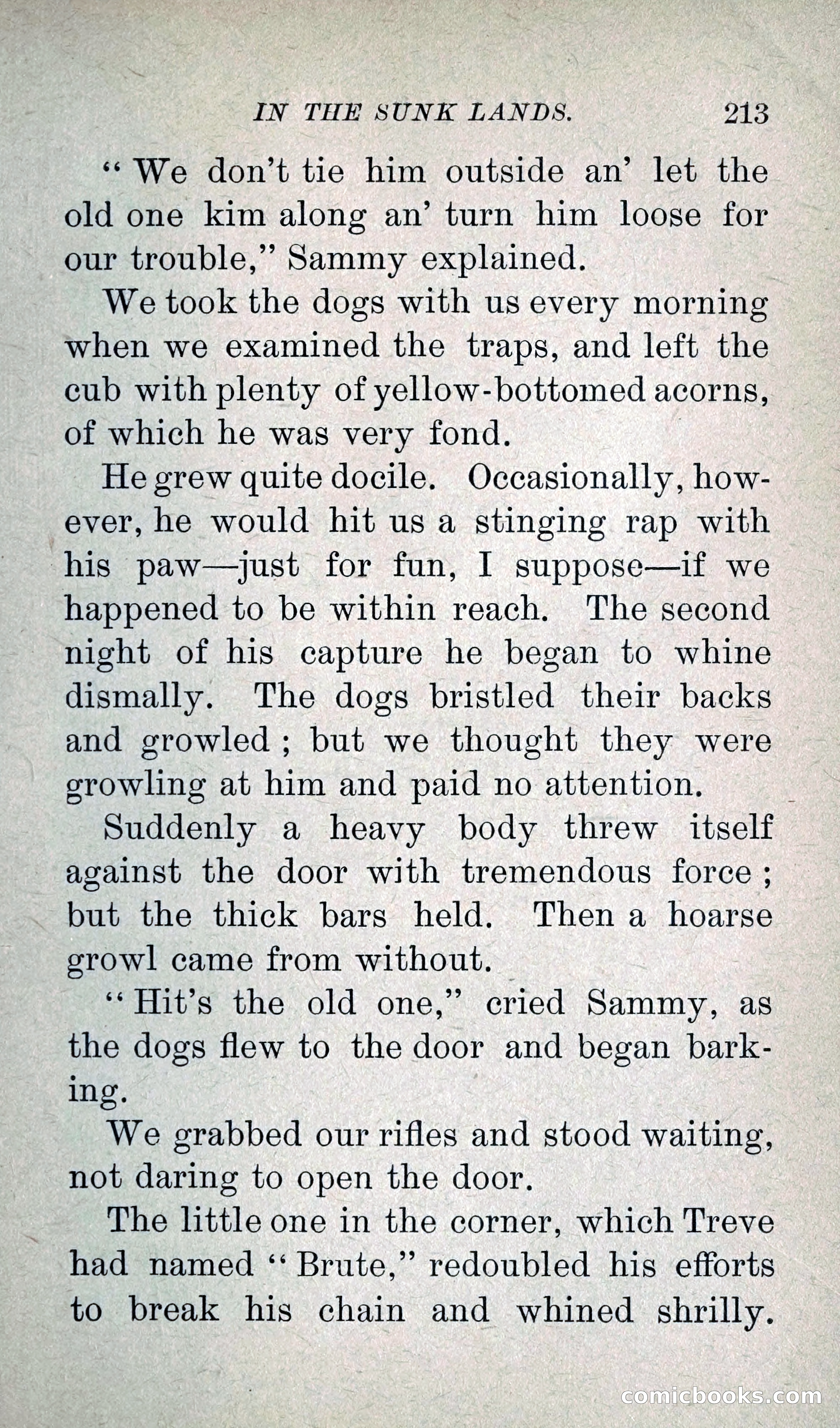 In the Sunk Lands — page 230 of 293