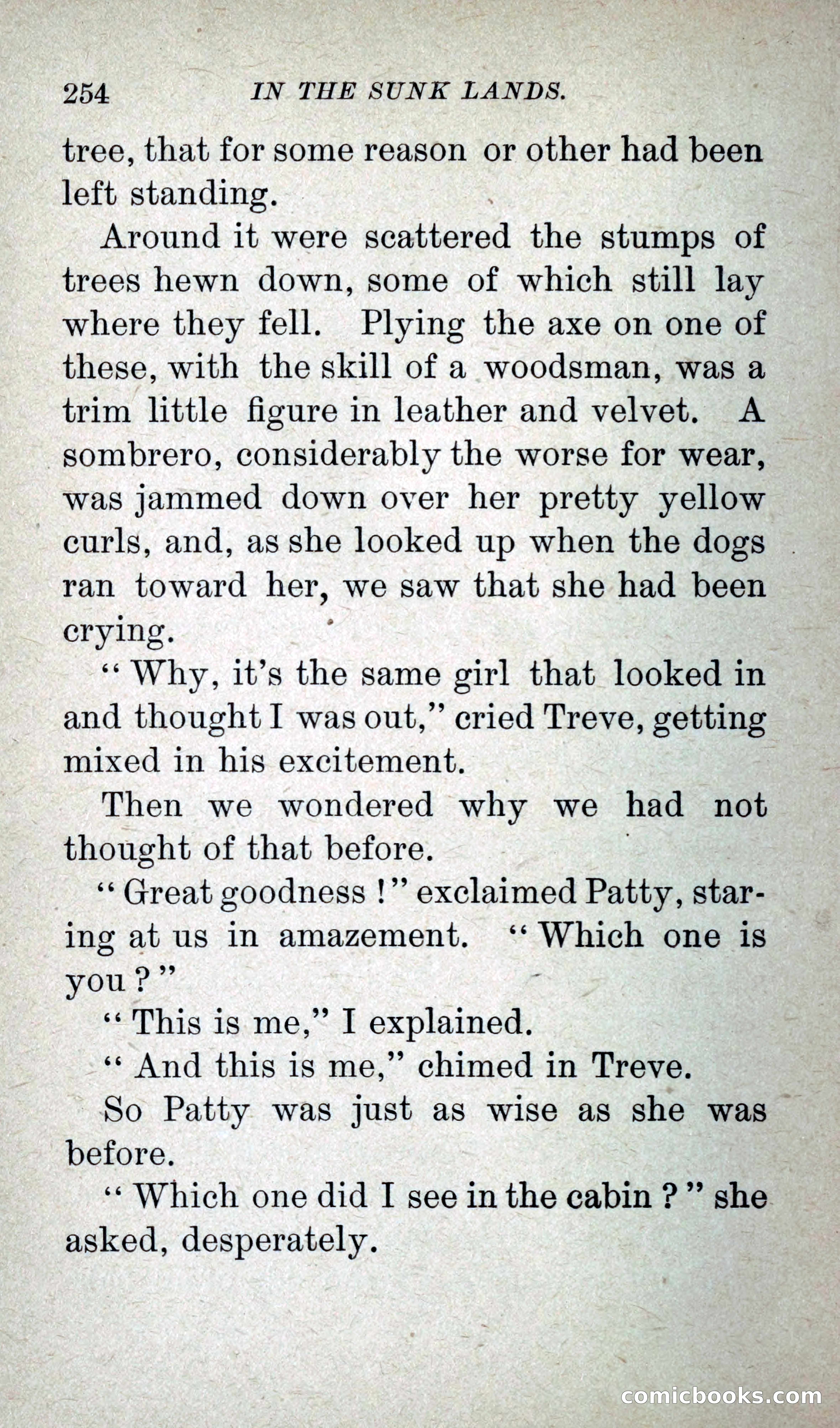 In the Sunk Lands — page 271 of 293