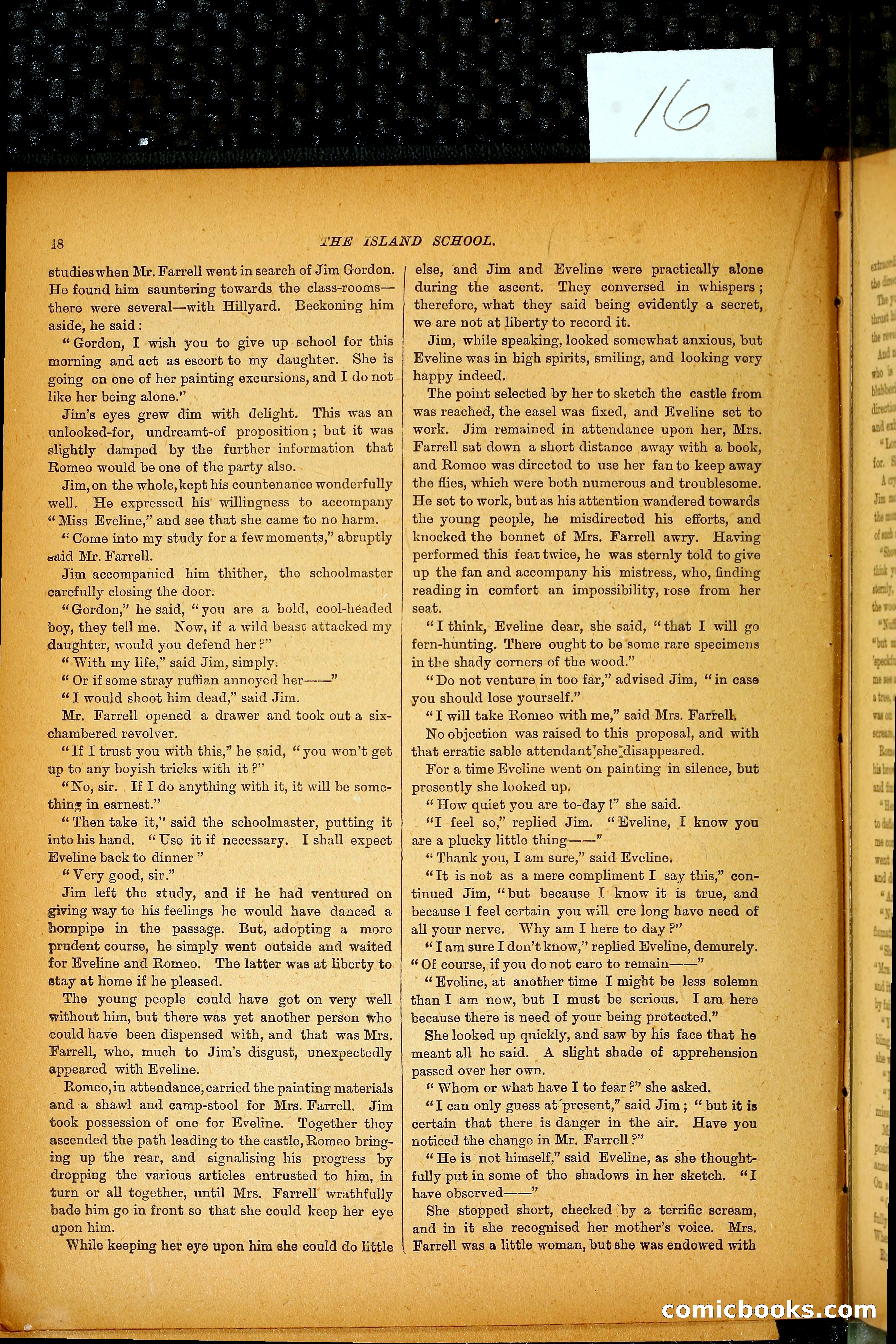 The Island School — page 25 of 395