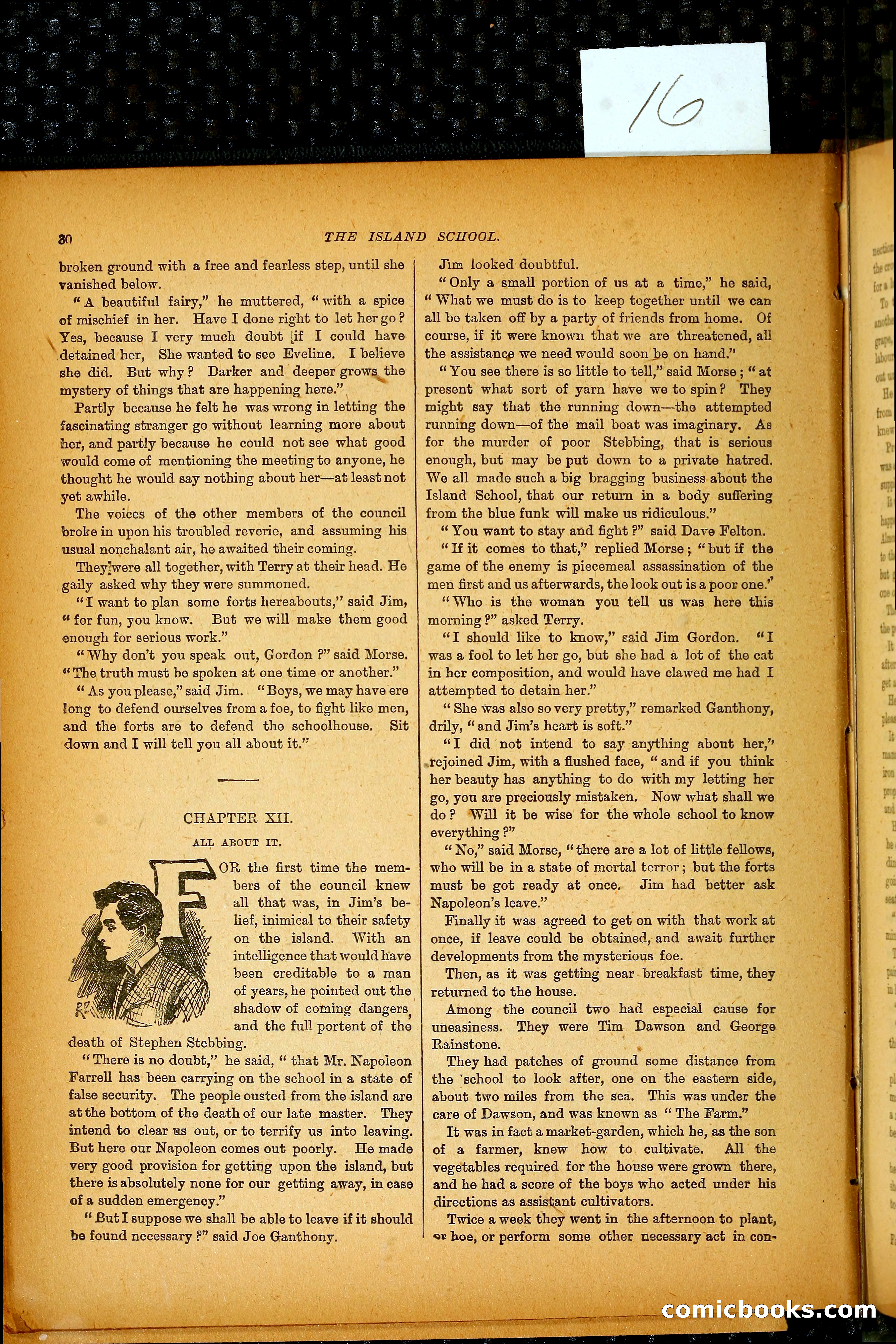 The Island School — page 39 of 395