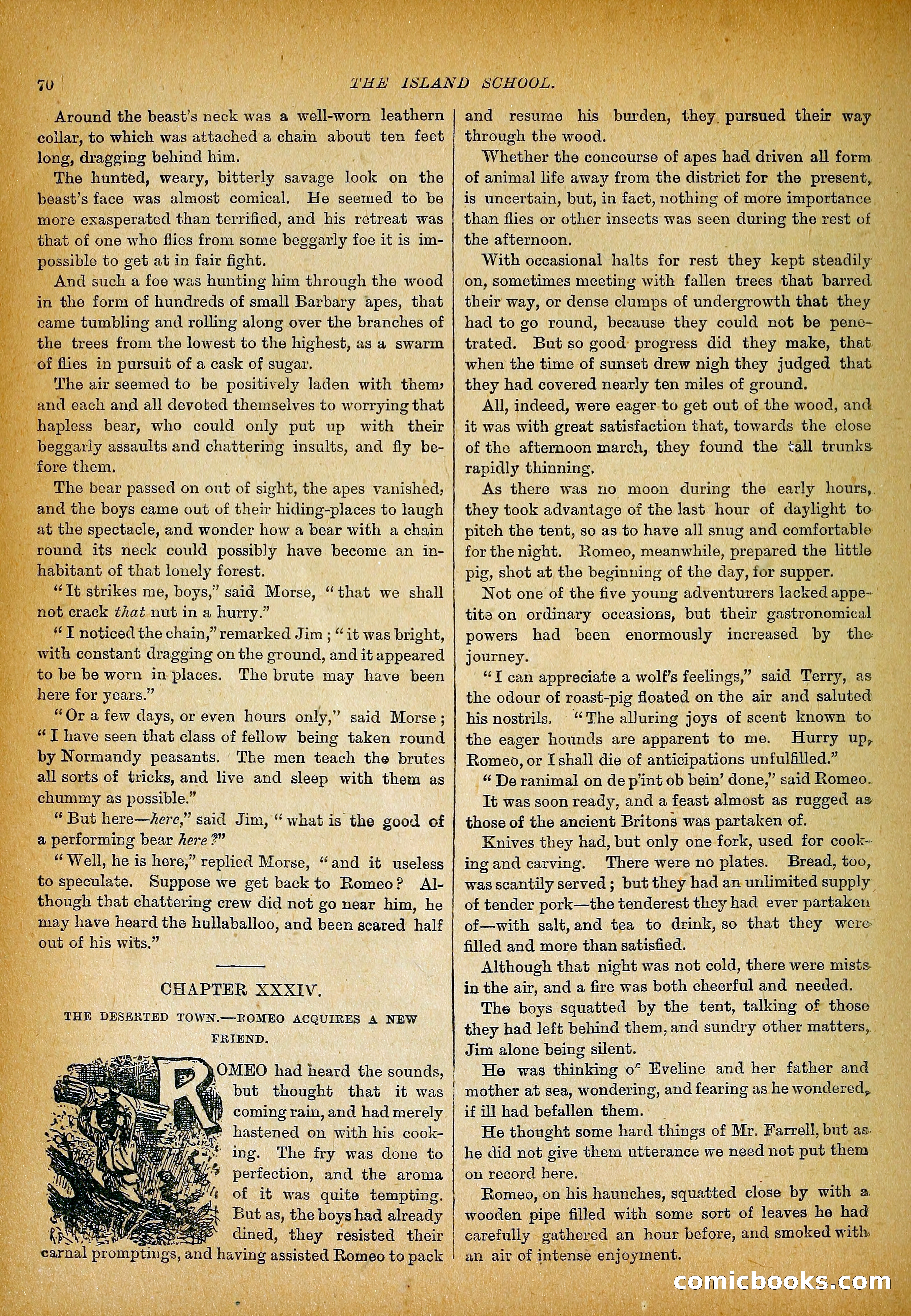 The Island School — page 87 of 395