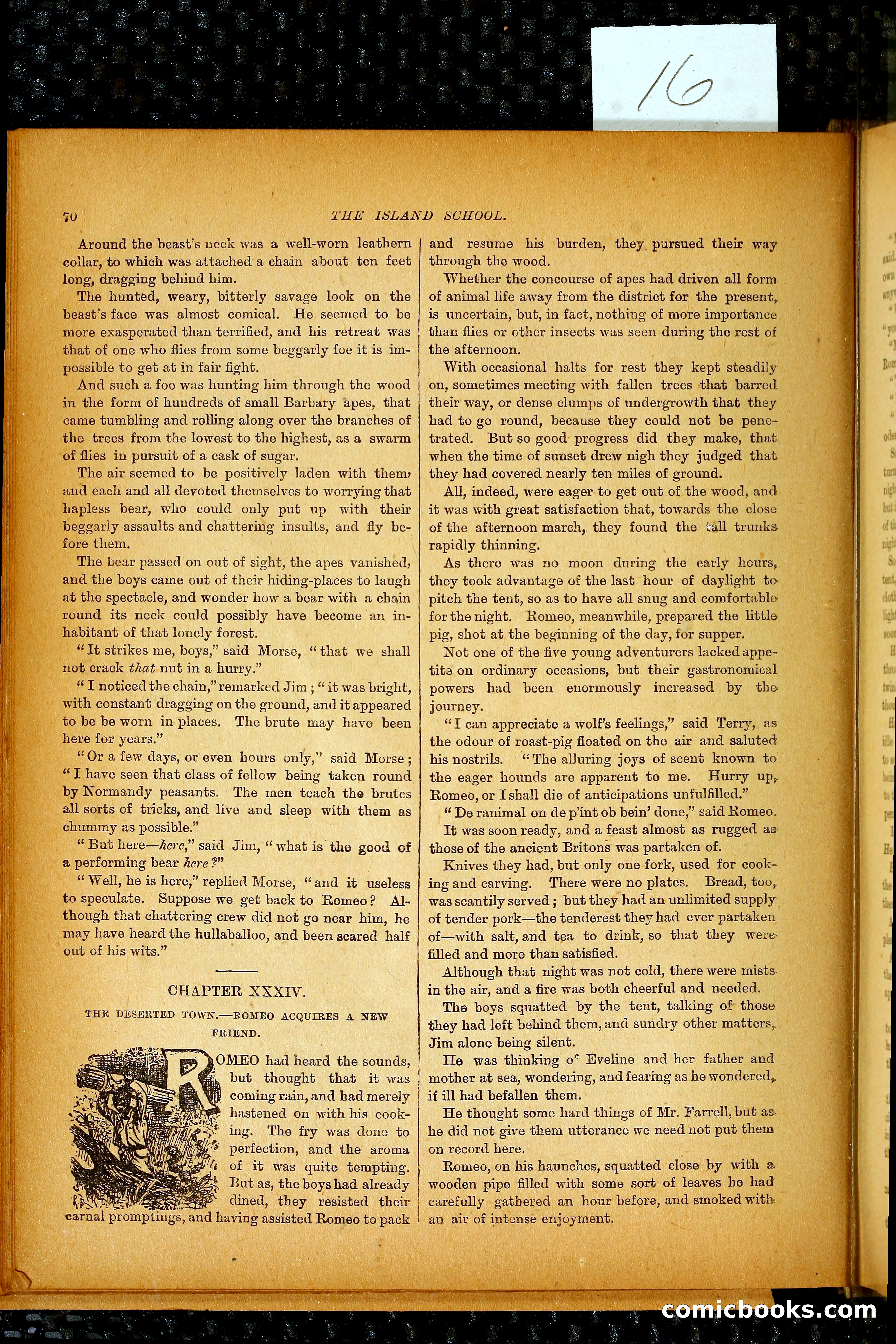 The Island School — page 89 of 395