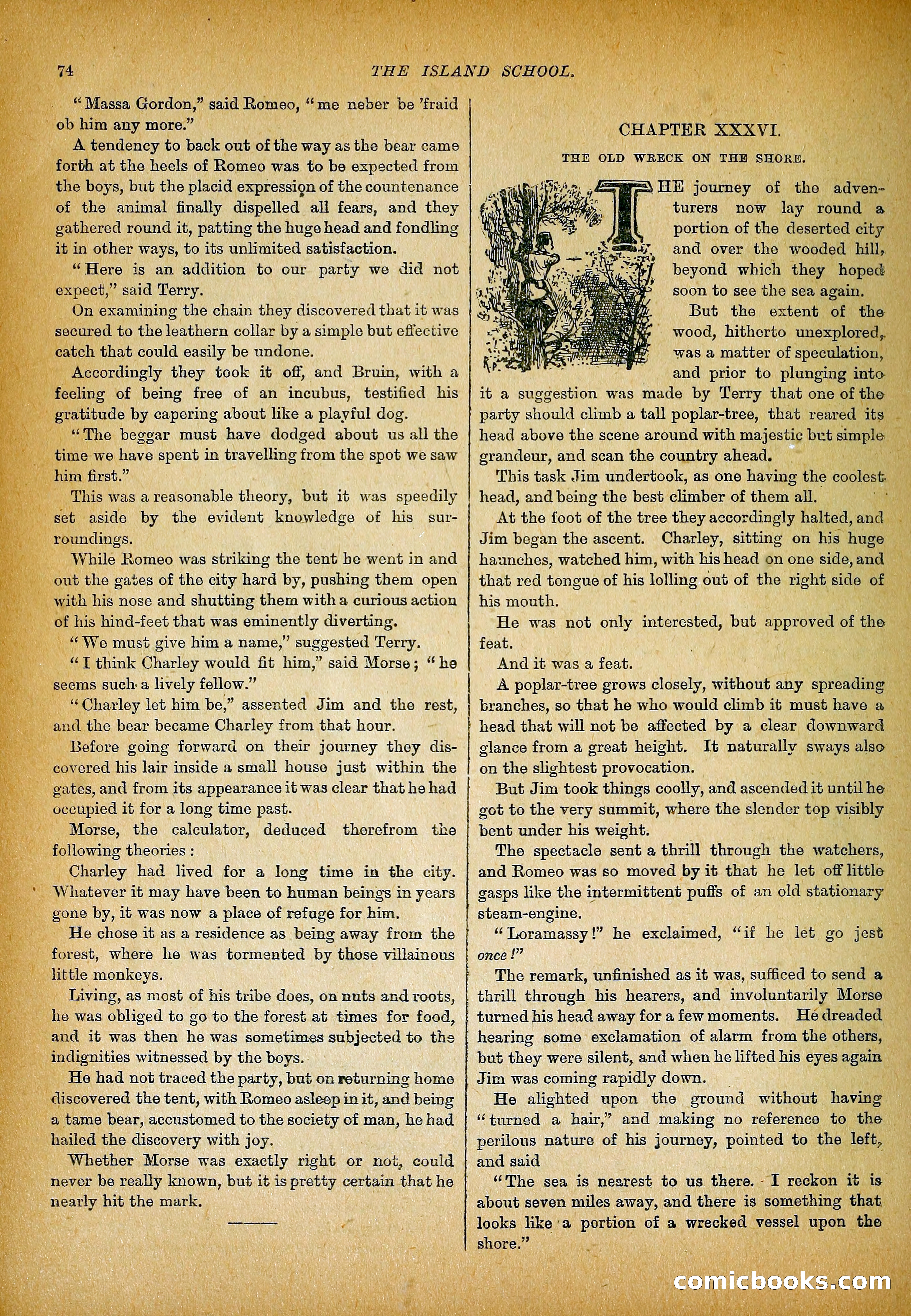 The Island School — page 93 of 395