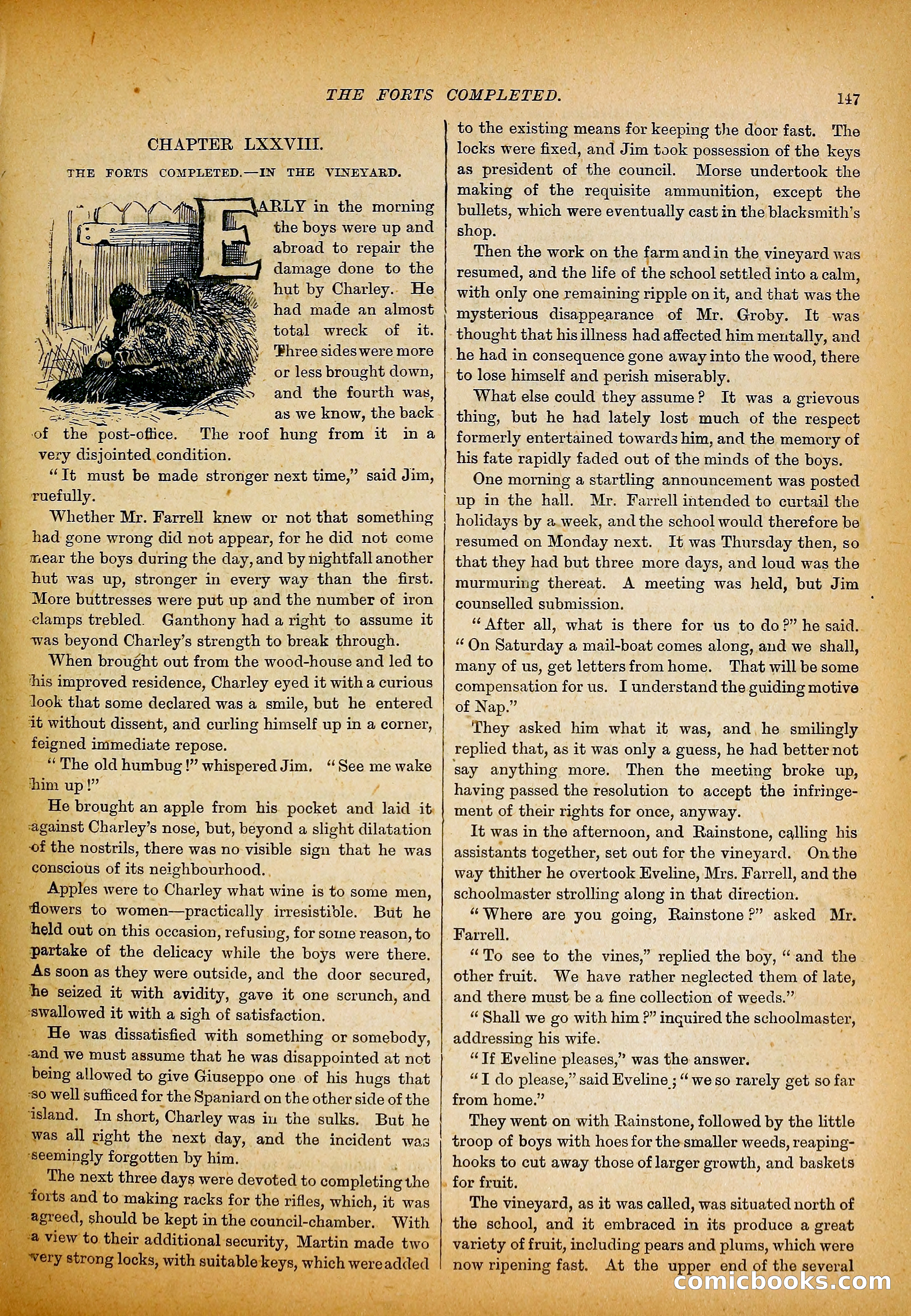 The Island School — page 176 of 395