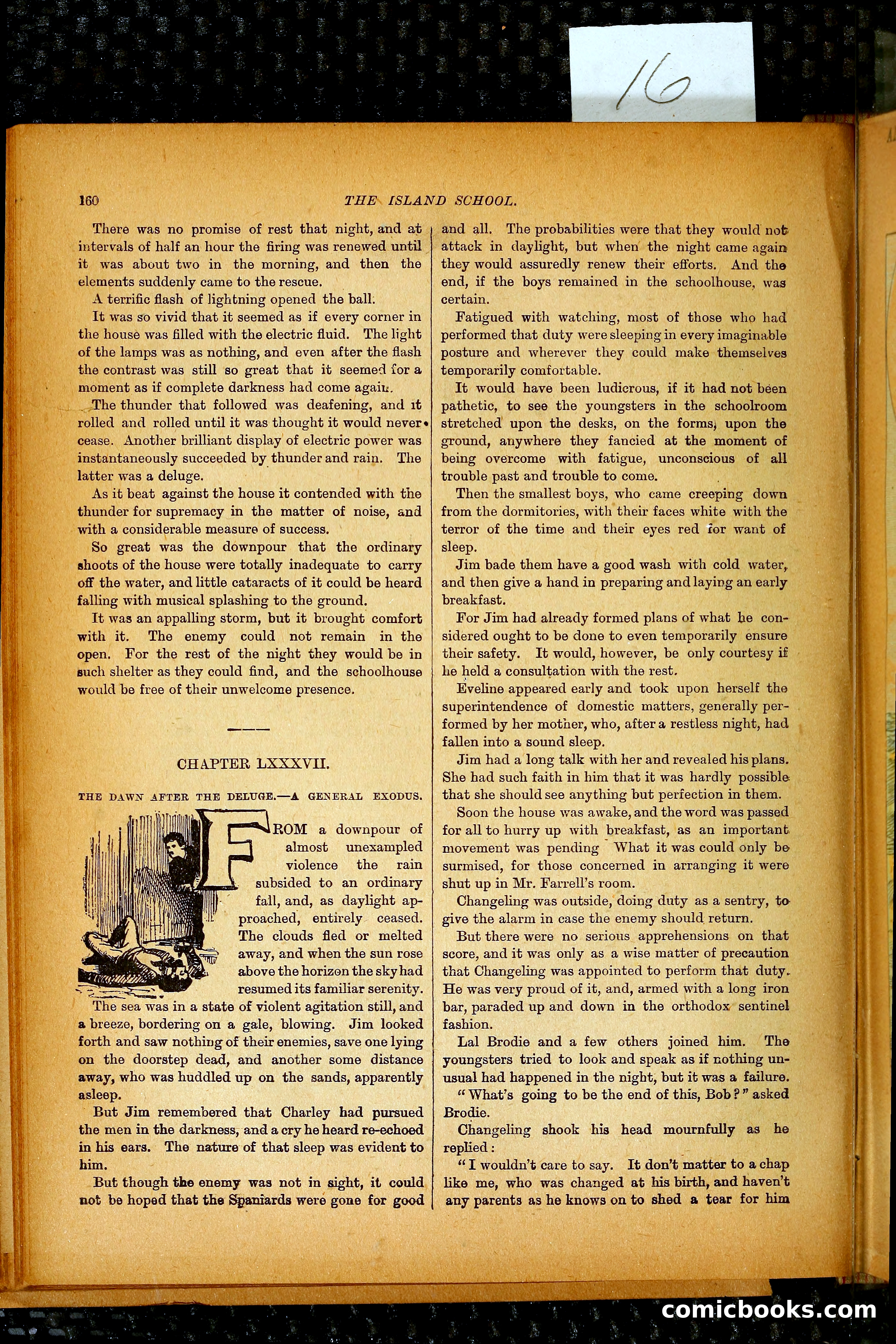 The Island School — page 193 of 395