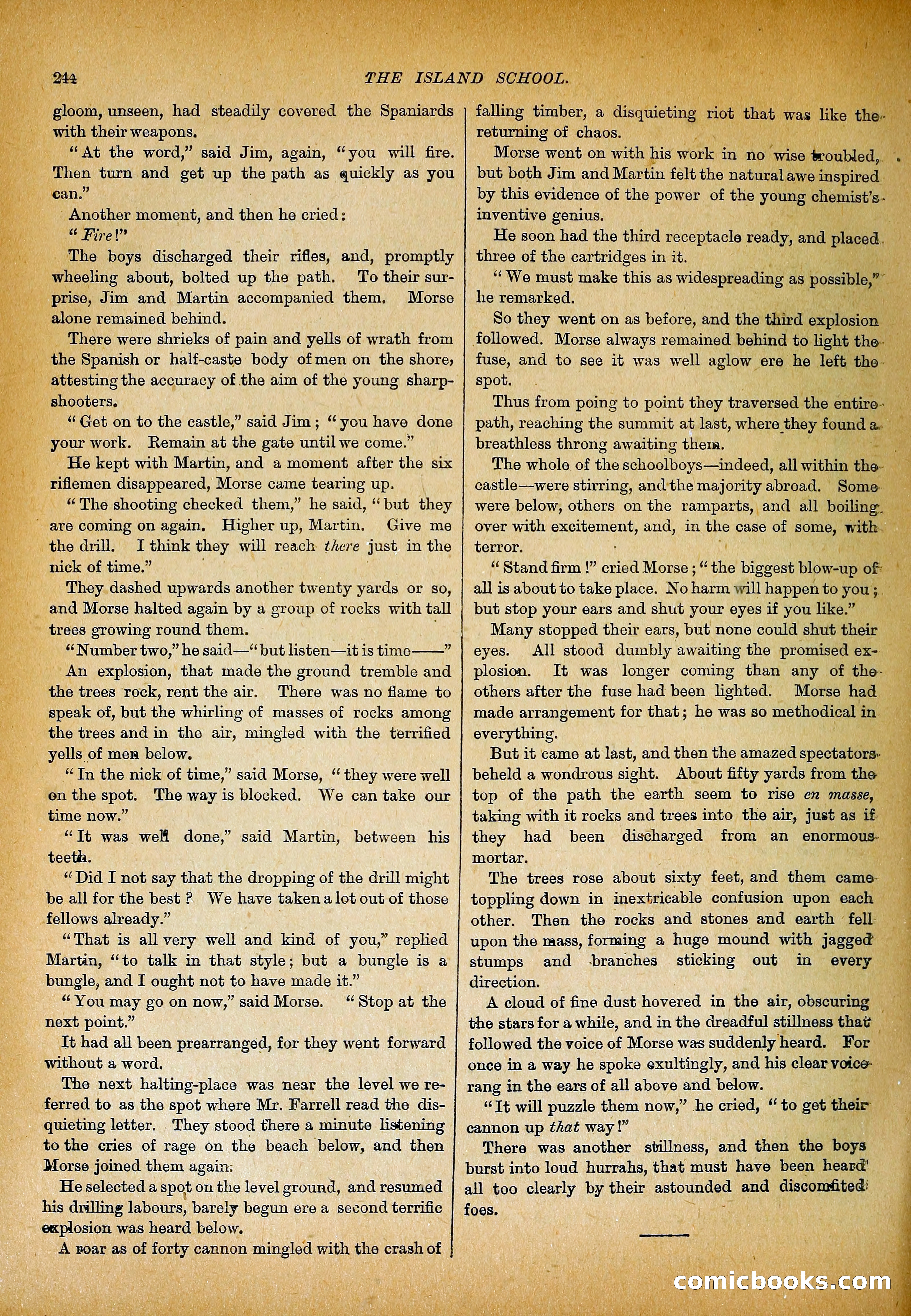 The Island School — page 293 of 395