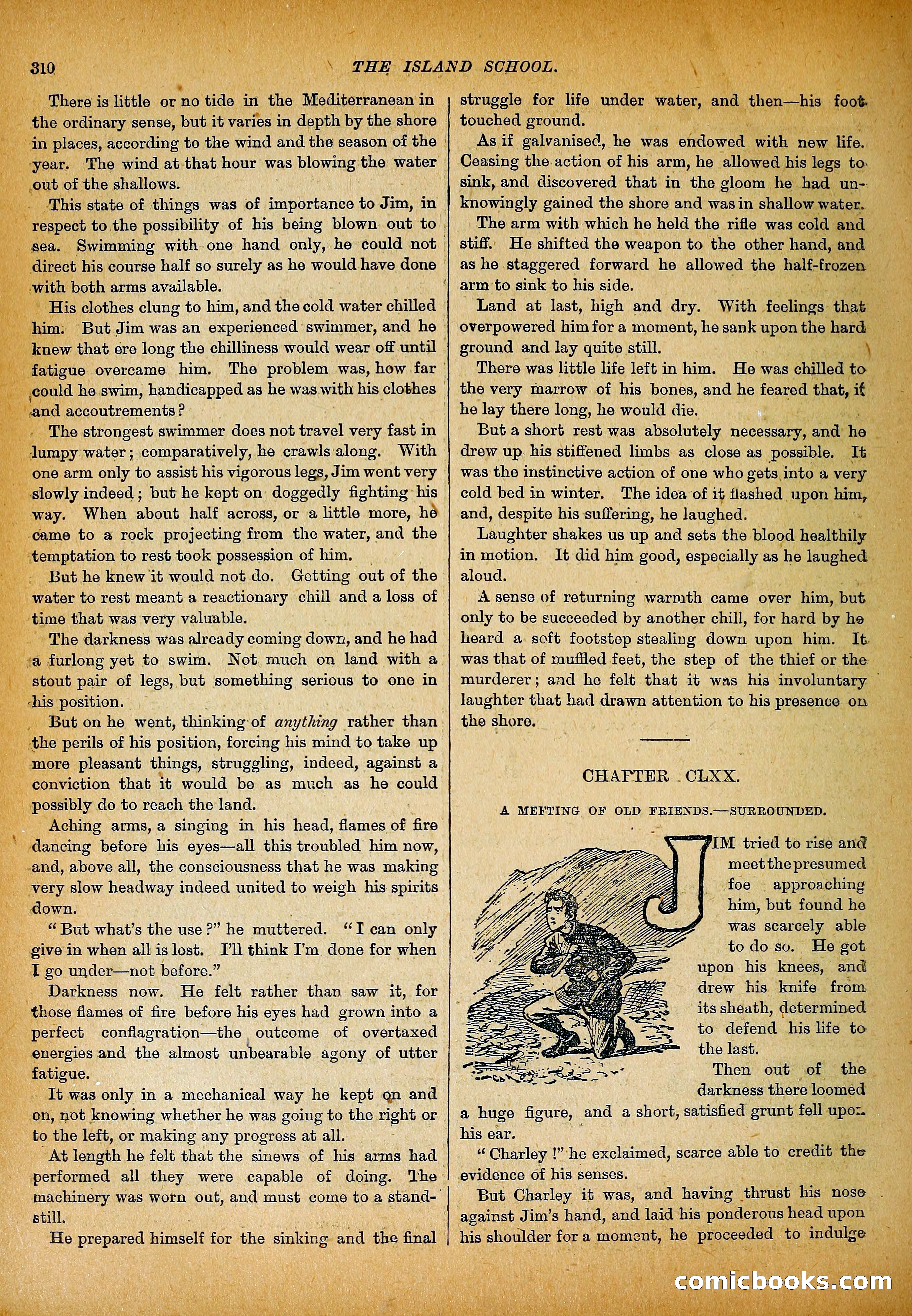 The Island School — page 373 of 395
