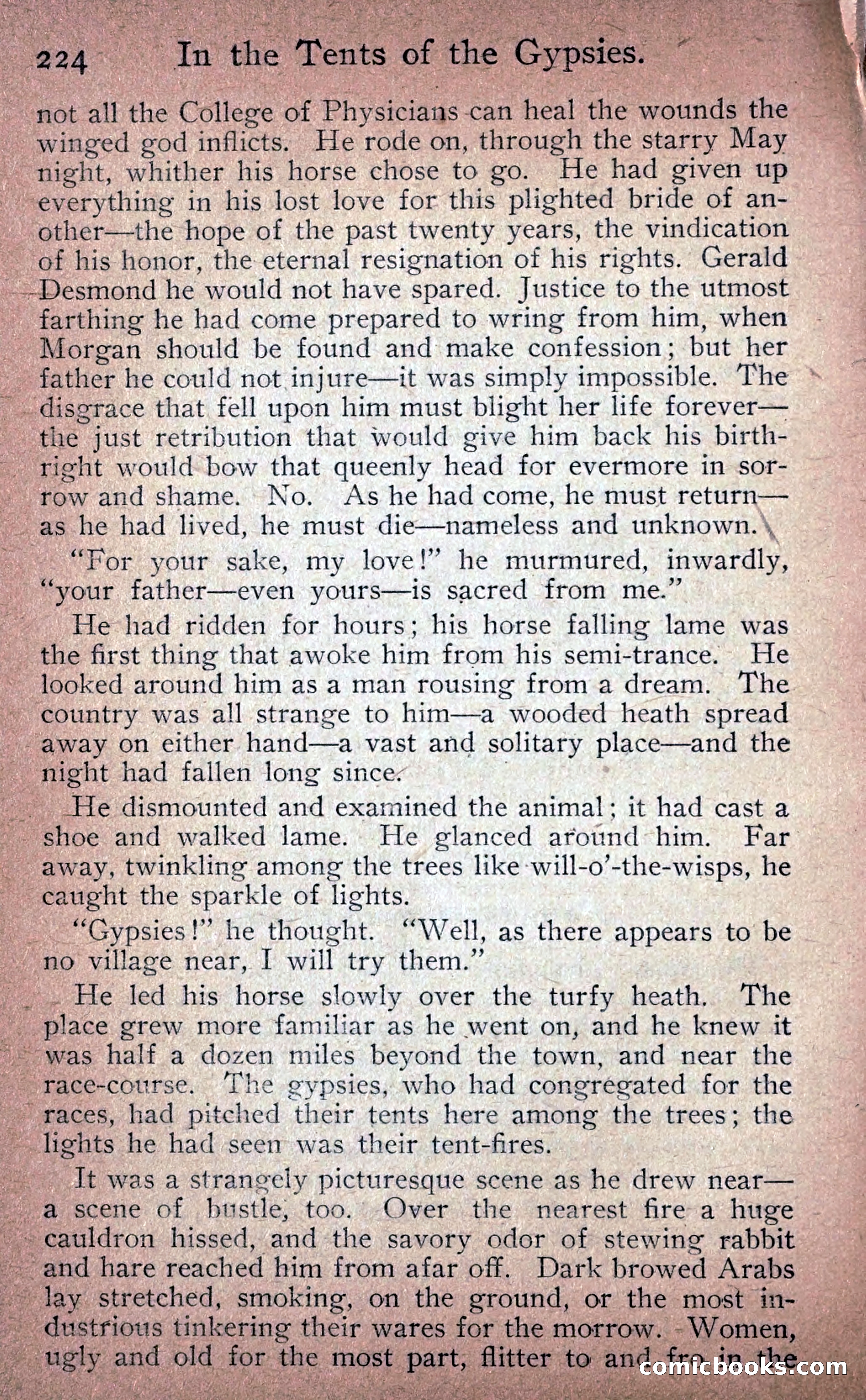 Lady Evelyn — page 231 of 295