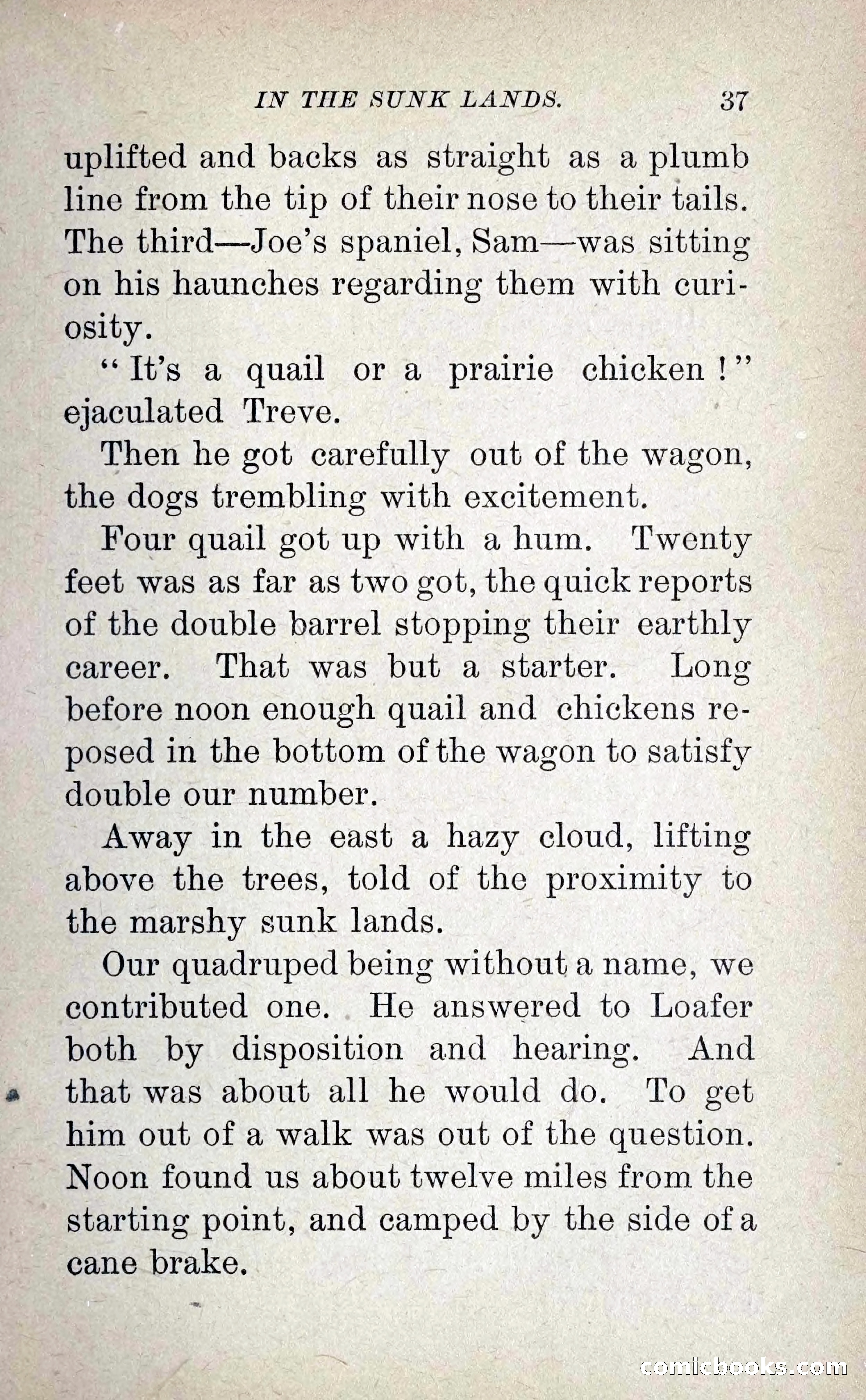 Leather-Clad Tales of Adventure and Romance, No. 38 — page 41 of 288
