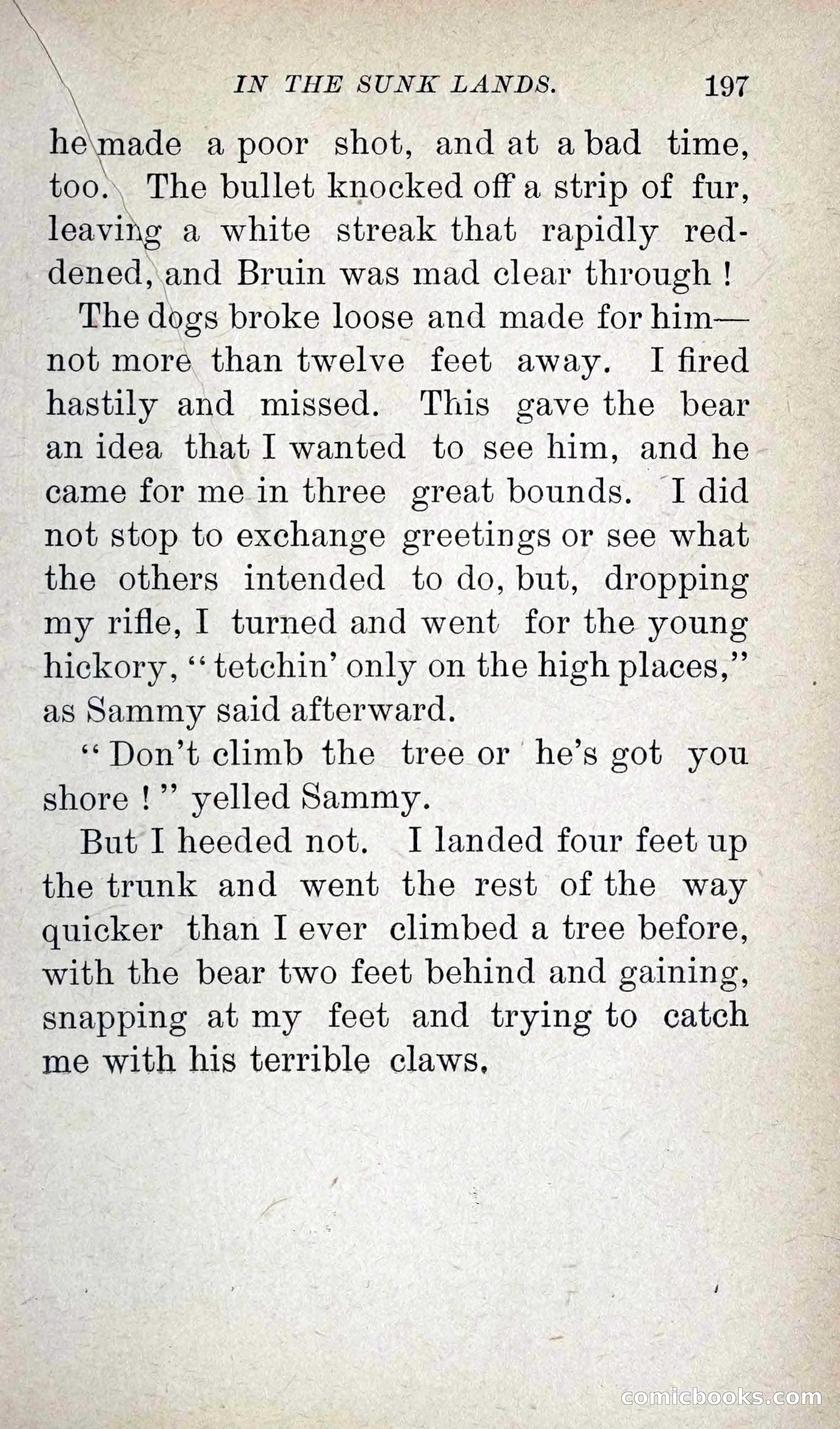Leather-Clad Tales of Adventure and Romance, No. 38 — page 207 of 288