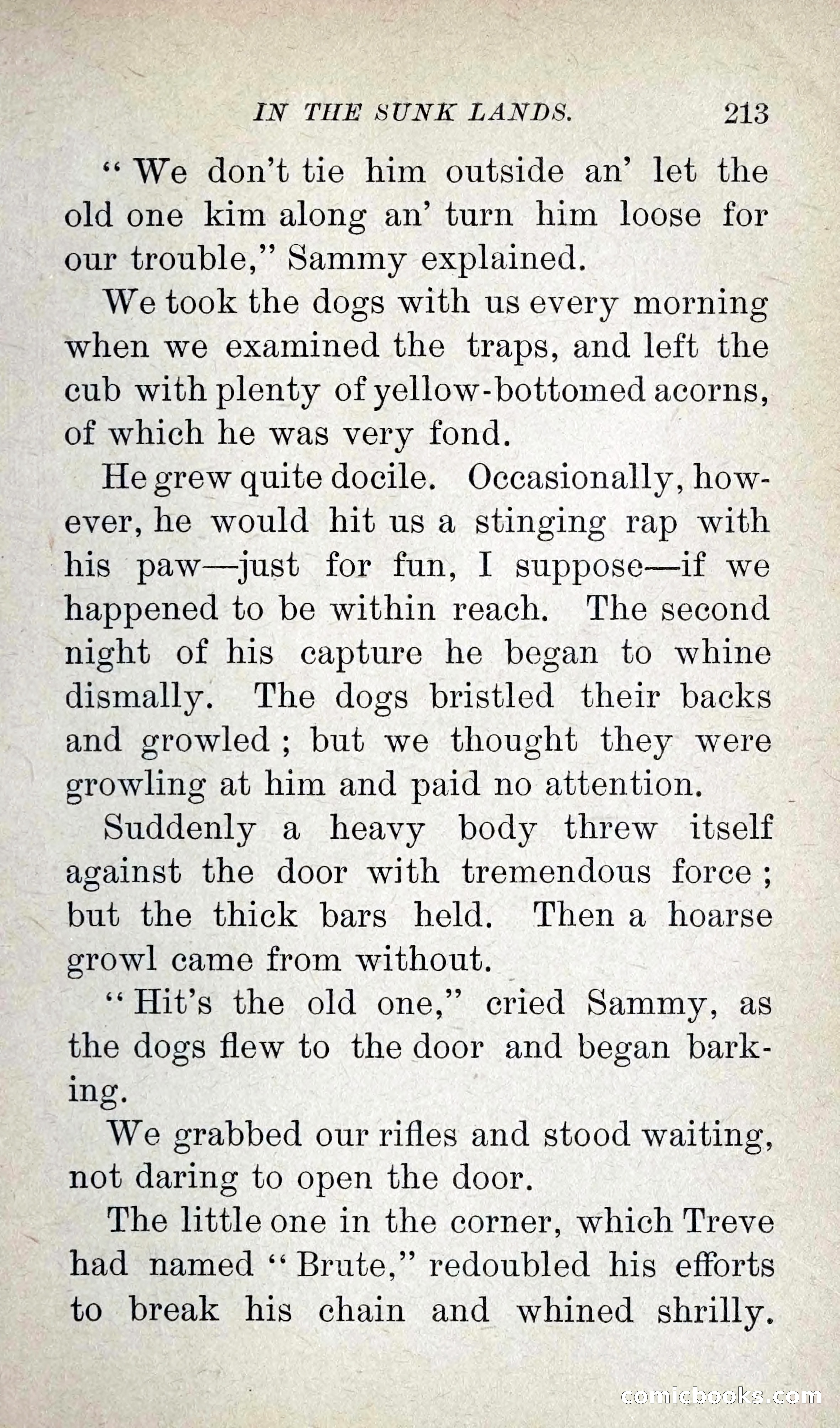 Leather-Clad Tales of Adventure and Romance, No. 38 — page 223 of 288