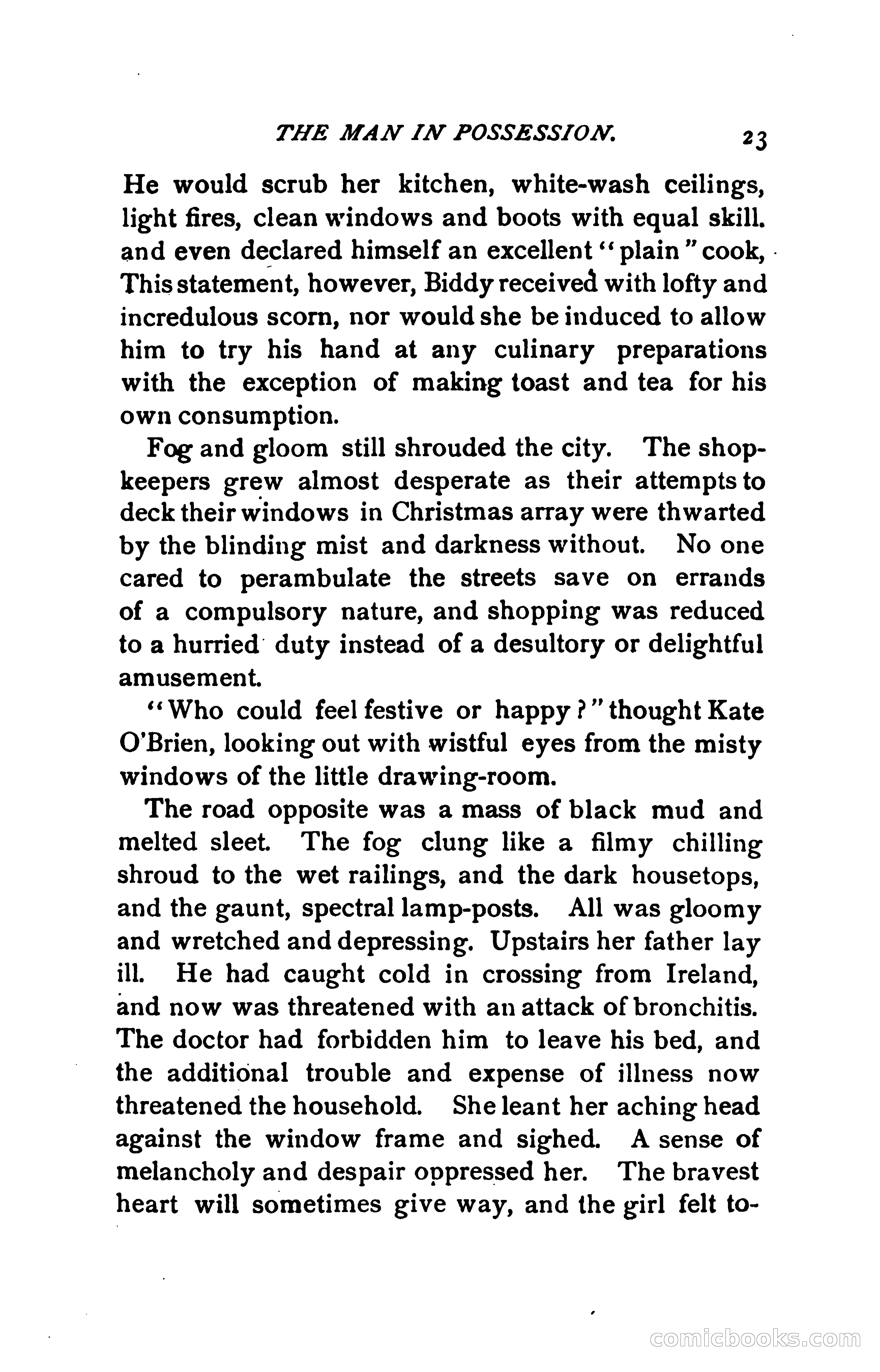 The Man in Possession — page 28 of 325