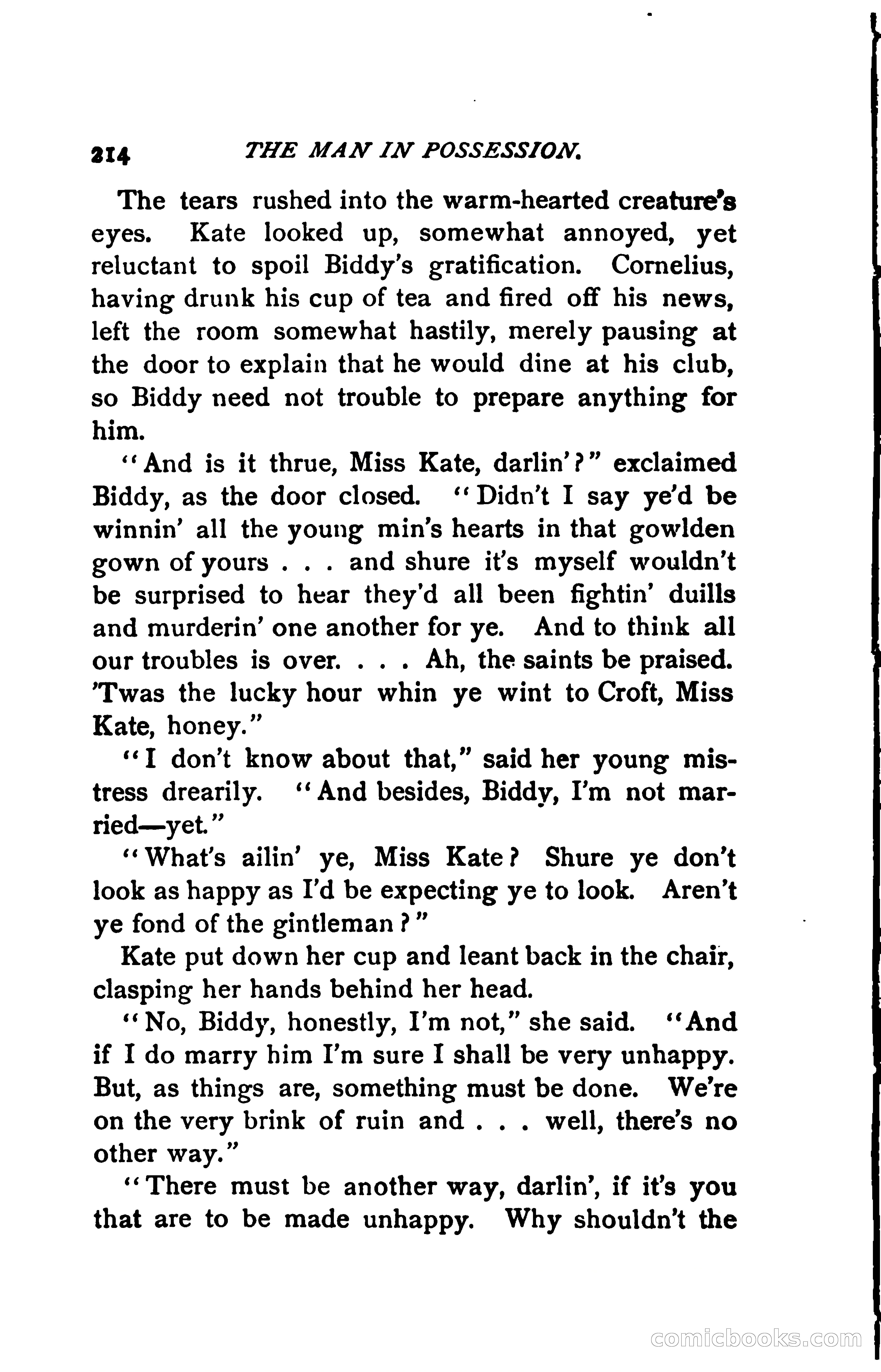 The Man in Possession — page 219 of 325