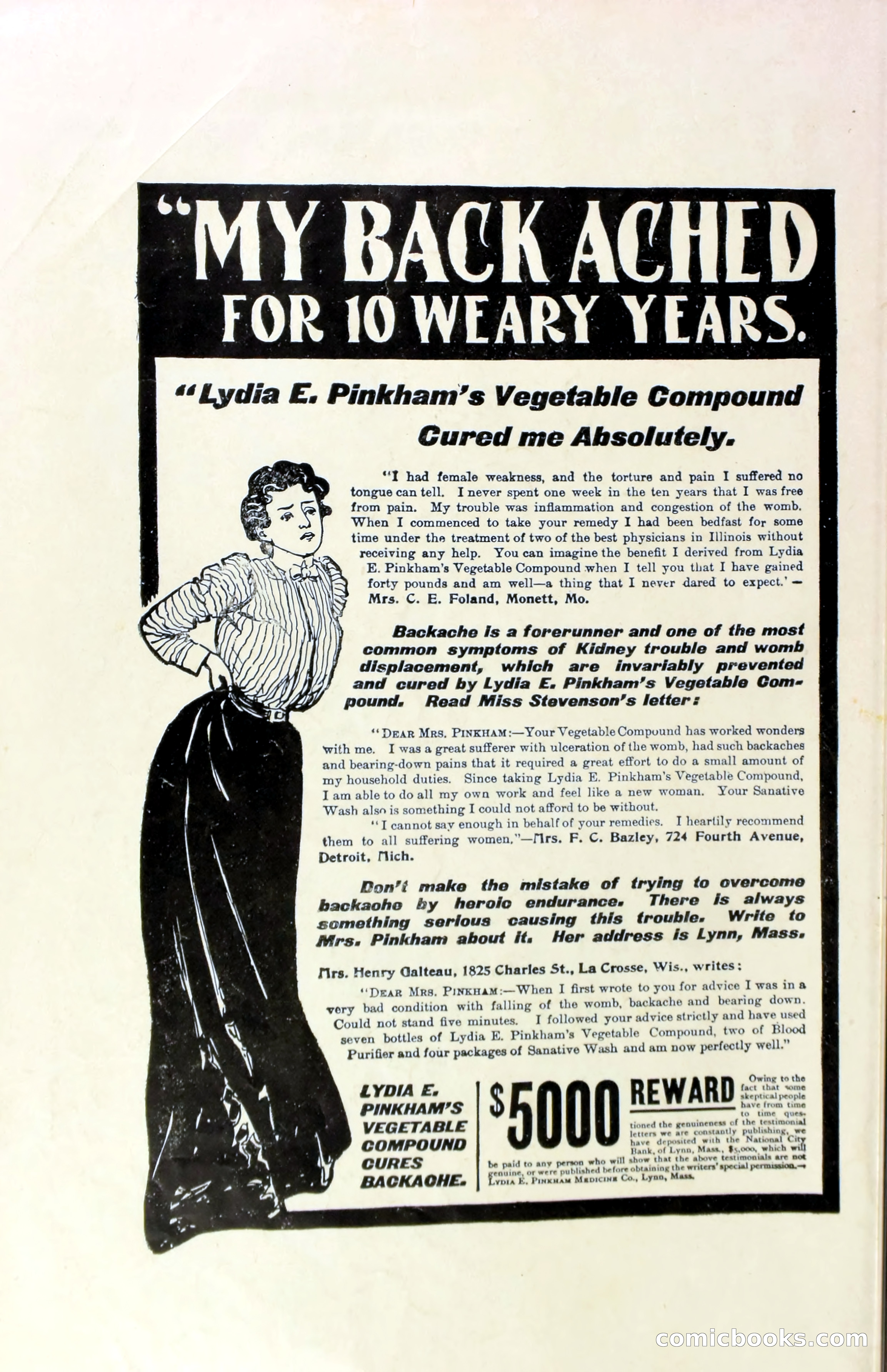 Marion Marlowe in Cleveland, or, The Mystery of the Red Rose — page 37 of 37