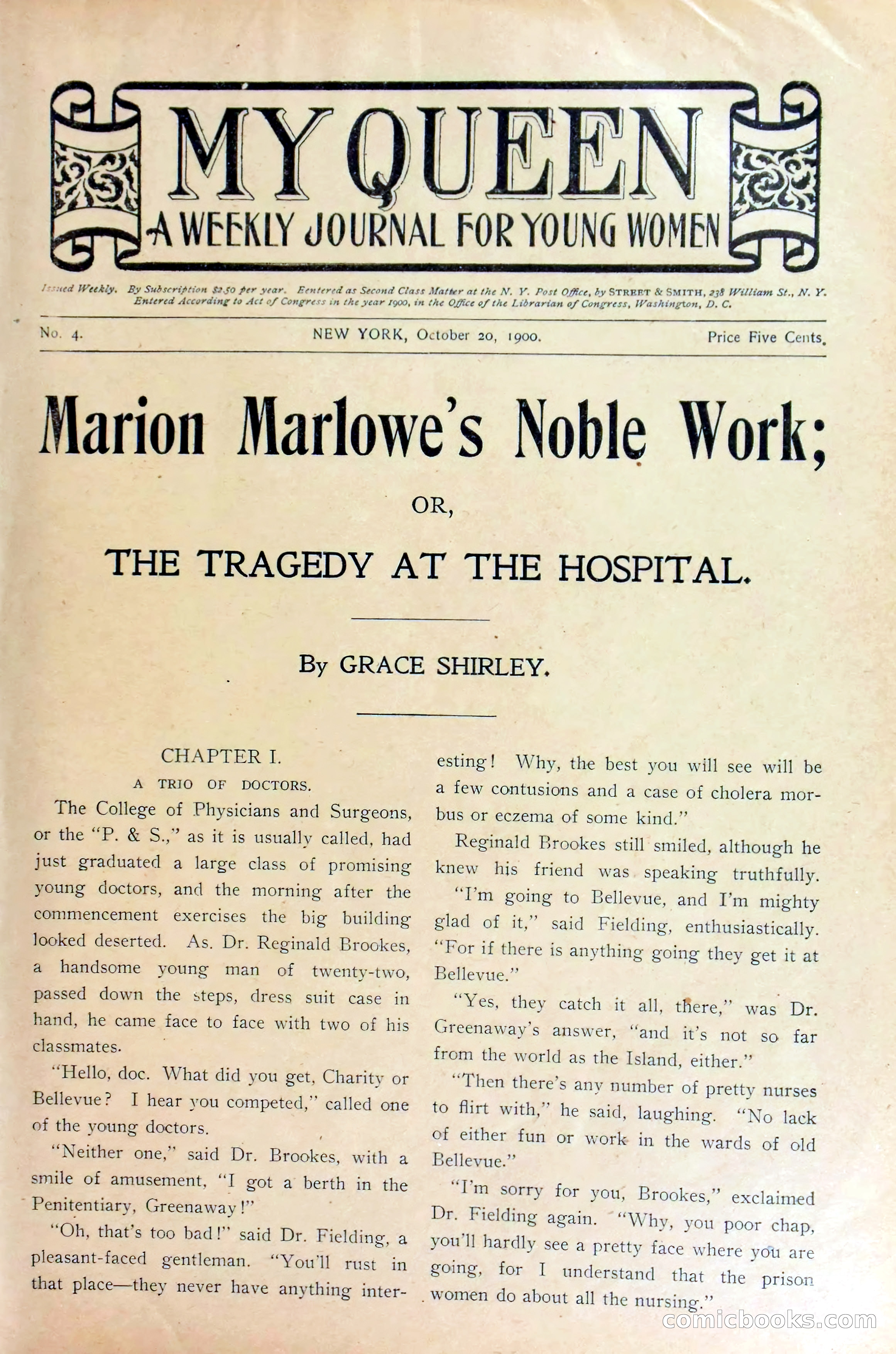 Marion Marlowe's Noble Work, or, The Tragedy at the Hospital — page 3 of 38