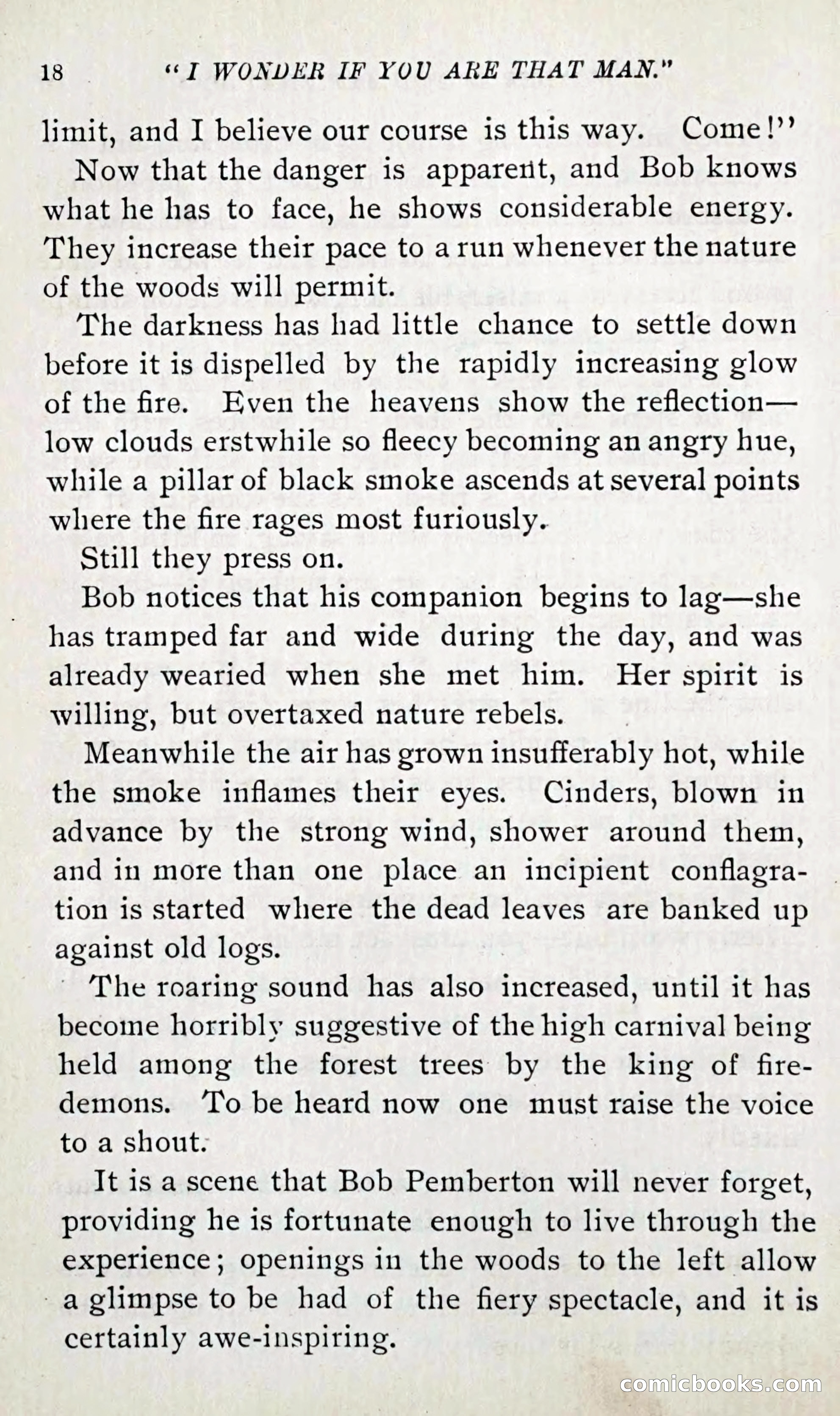 Mrs. Bob: A Novel — page 26 of 280