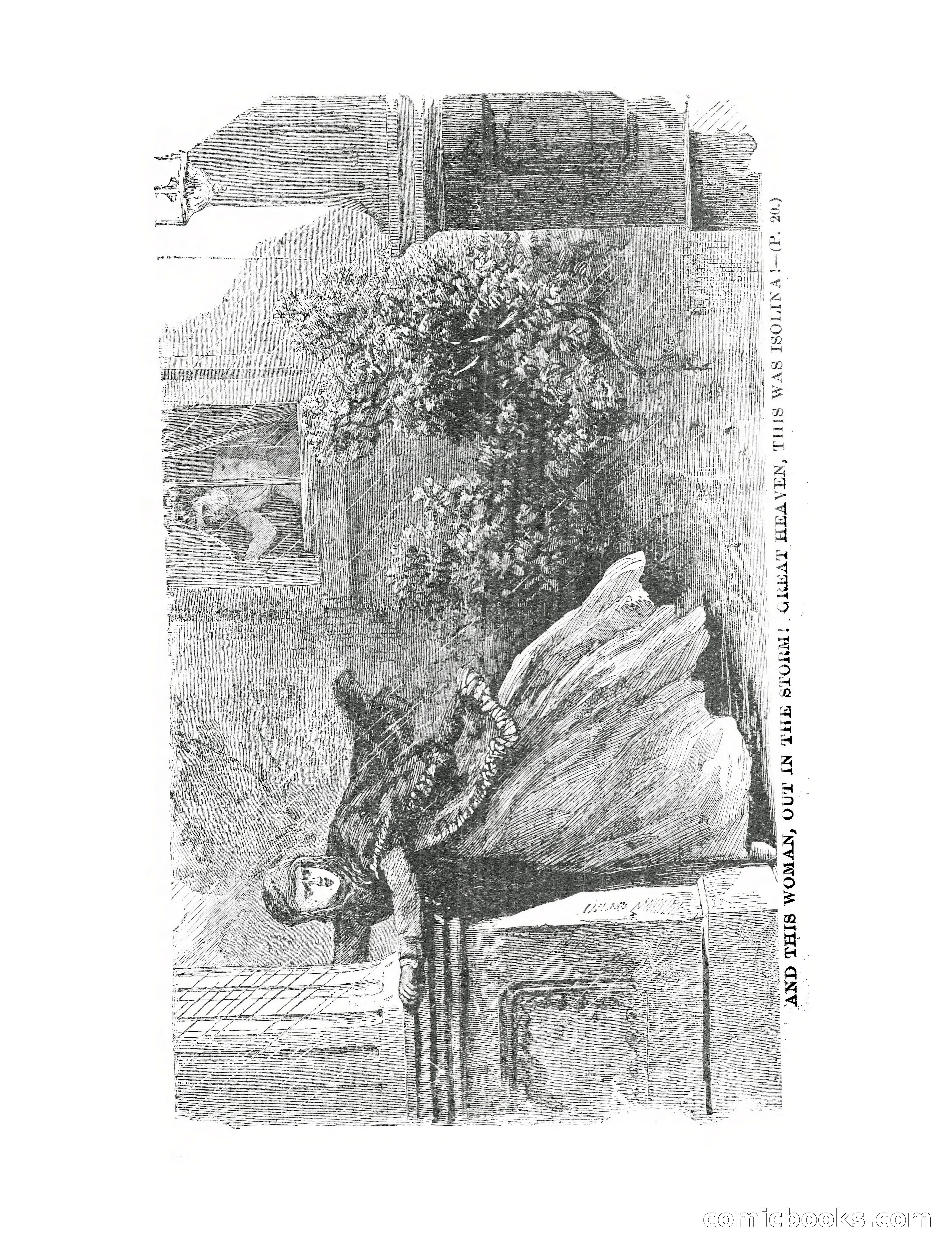 Beautiful Rienzi; or, The secret vendetta