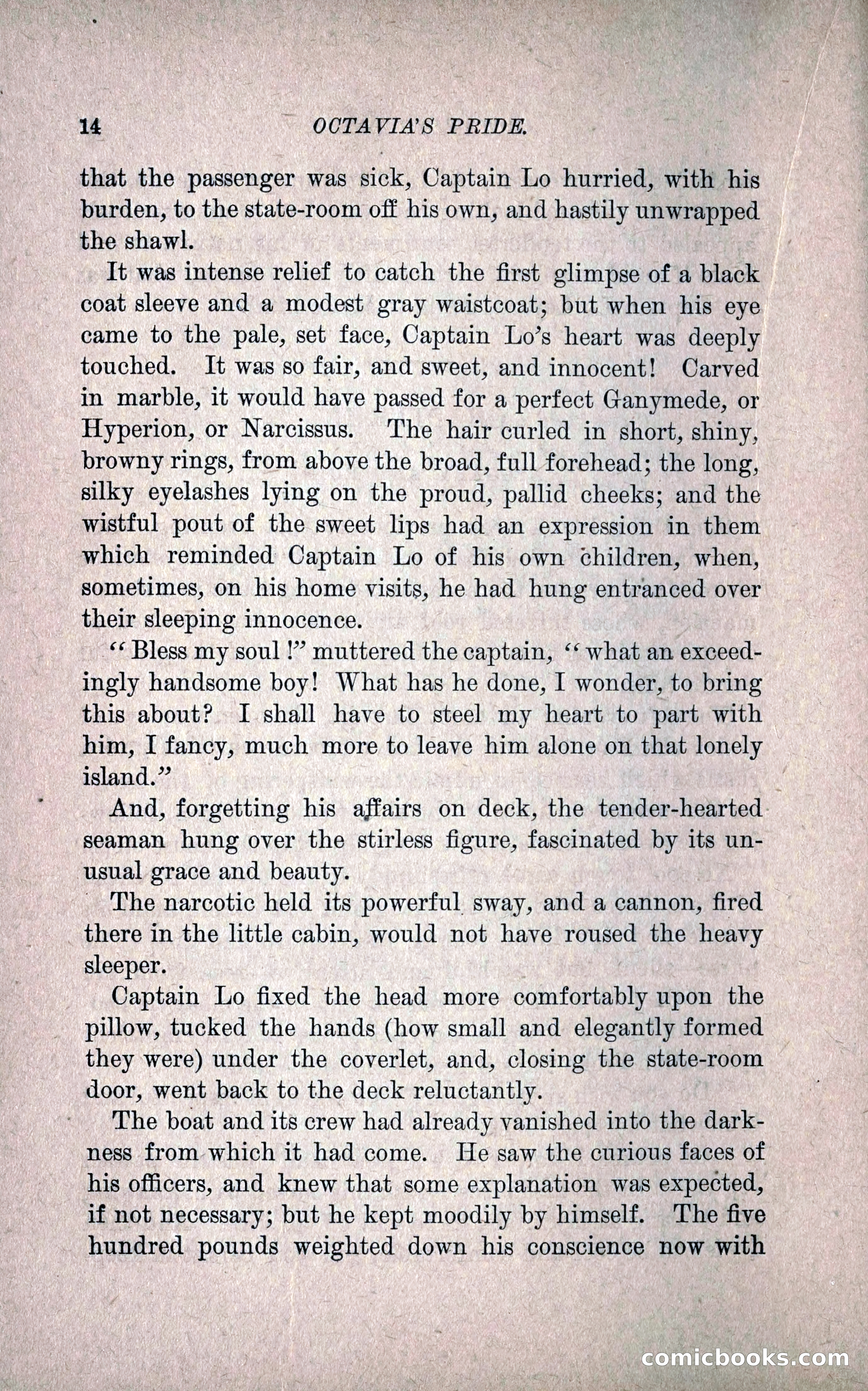 Octavia's Pride; or, The Missing Witness — page 24 of 284