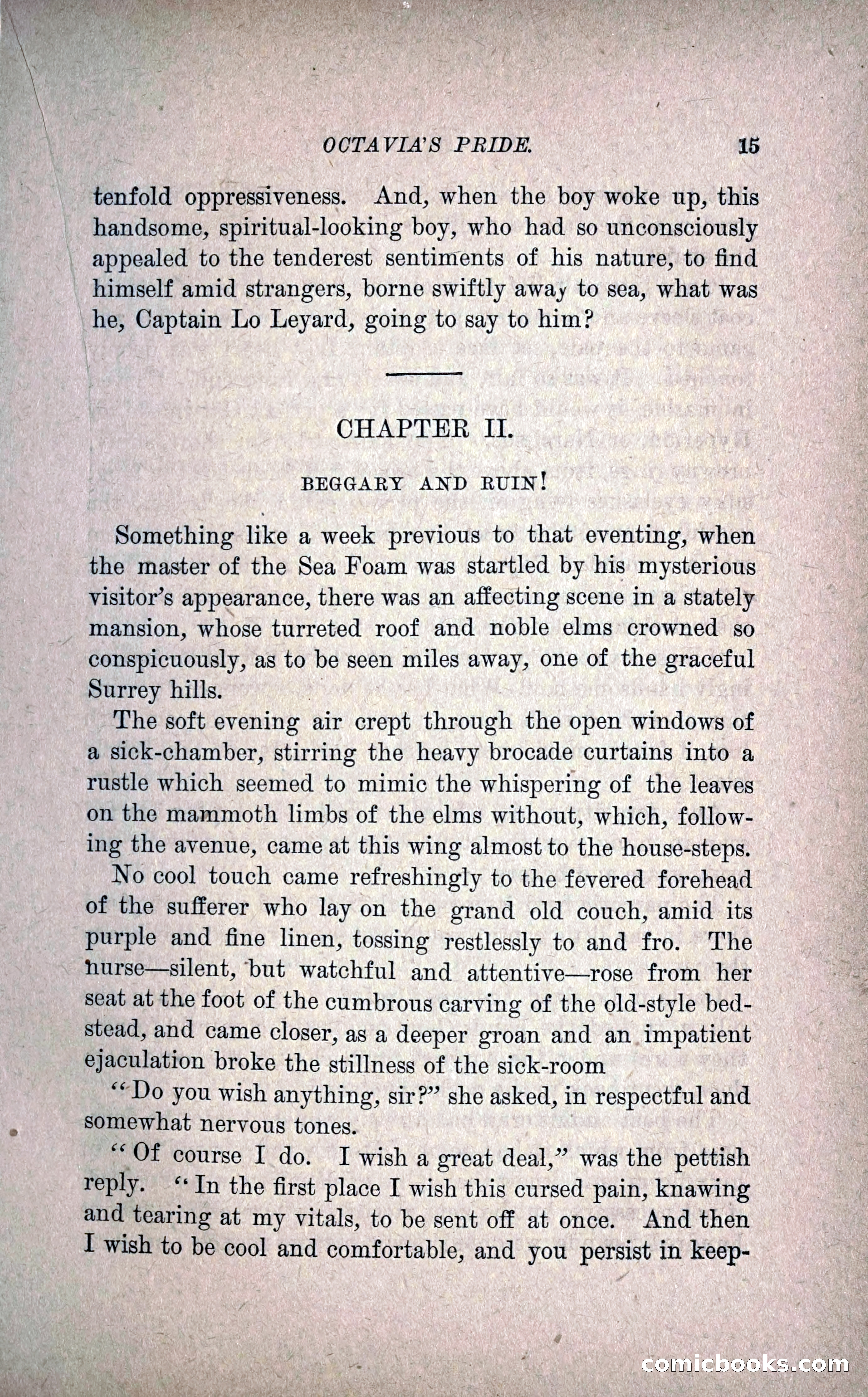 Octavia's Pride; or, The Missing Witness — page 25 of 284
