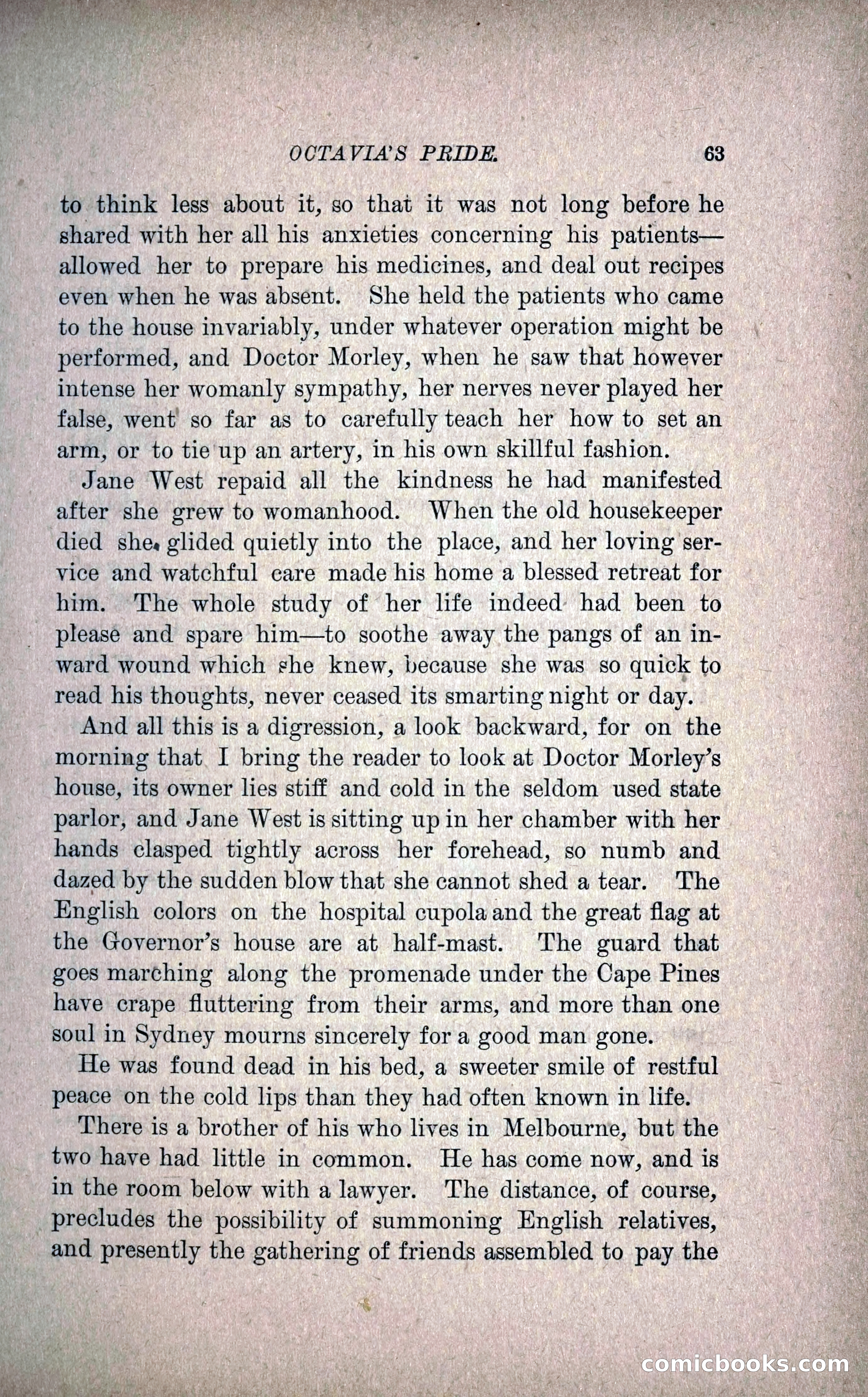 Octavia's Pride; or, The Missing Witness — page 73 of 284
