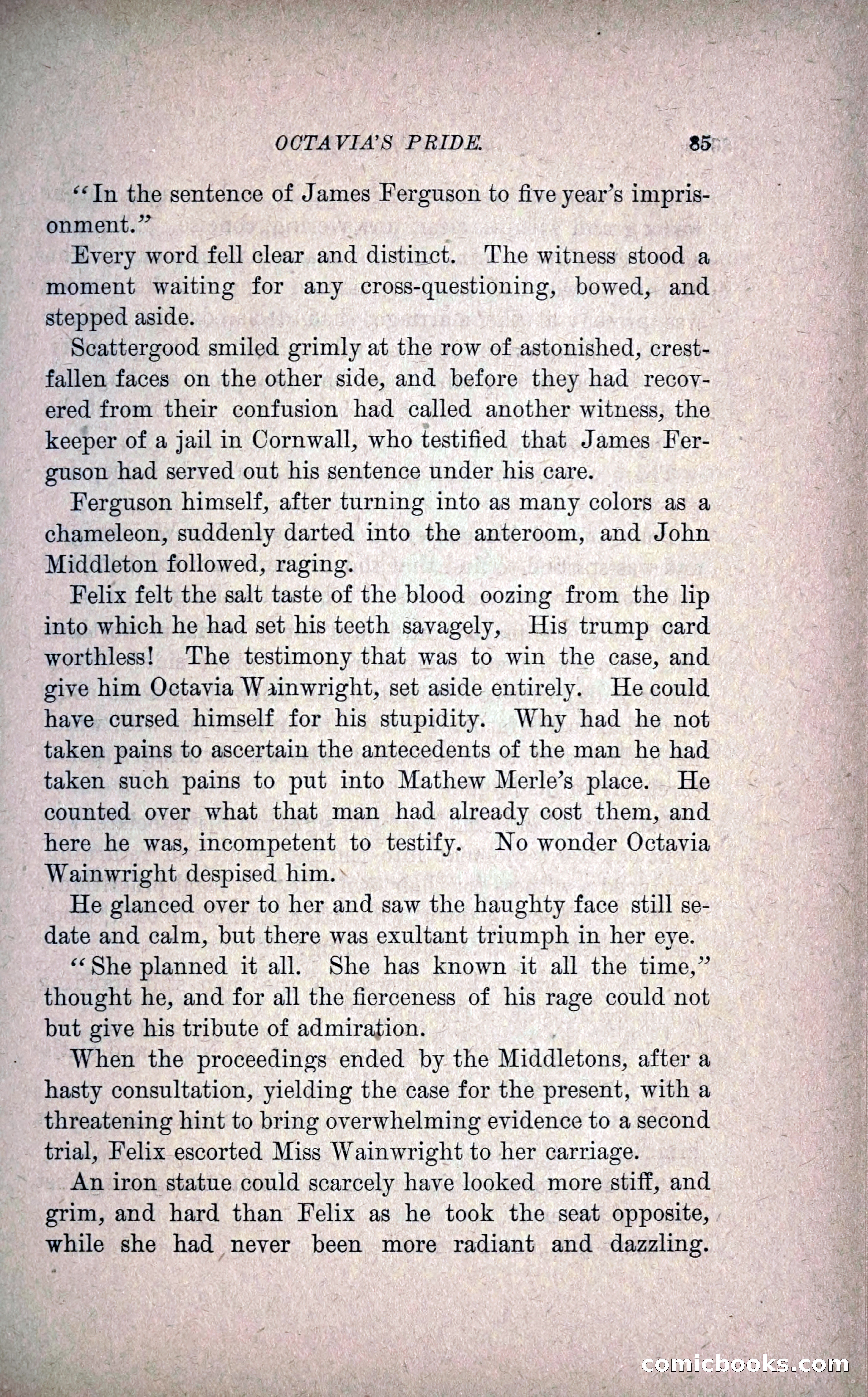 Octavia's Pride; or, The Missing Witness — page 95 of 284