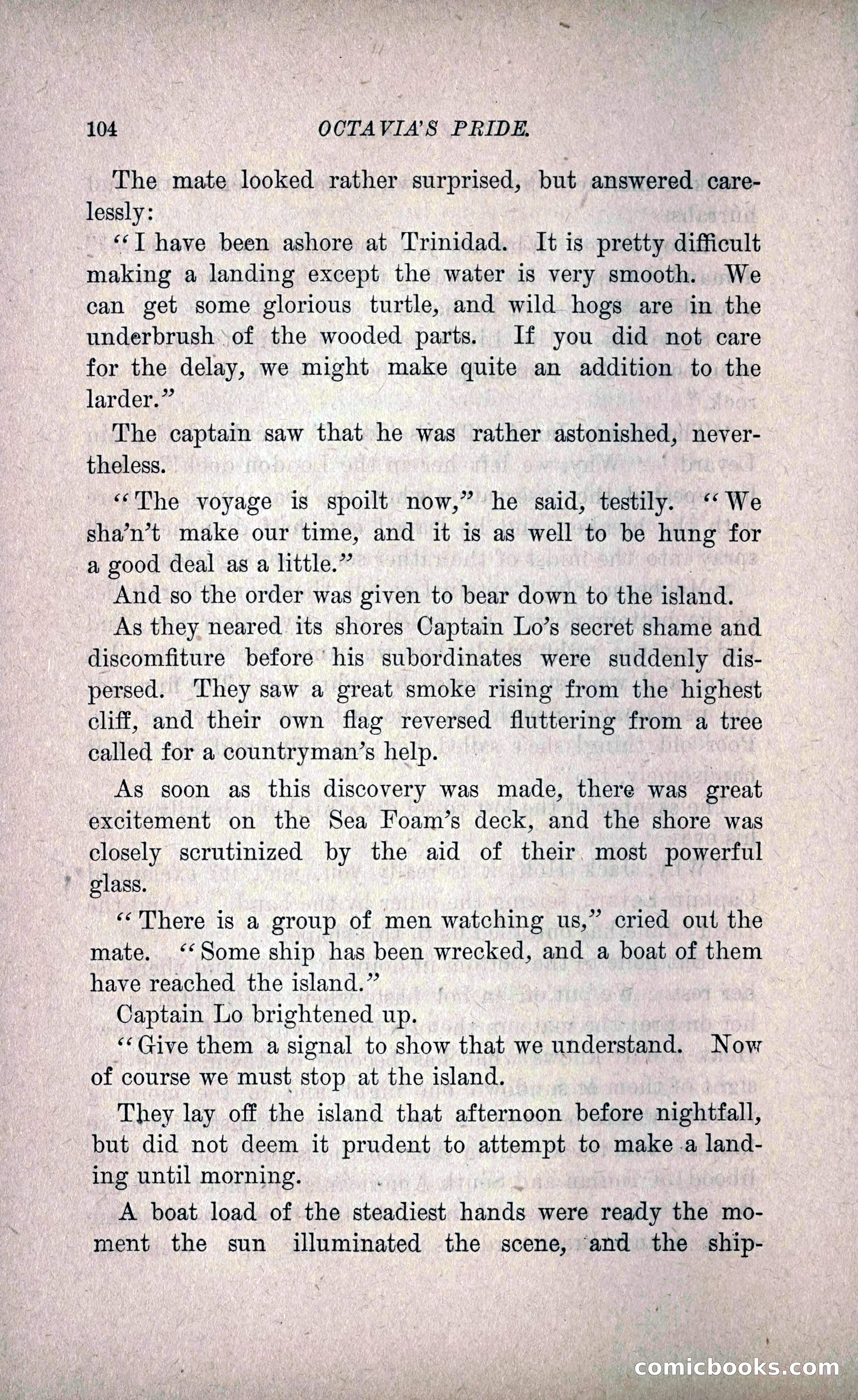 Octavia's Pride; or, The Missing Witness — page 114 of 284