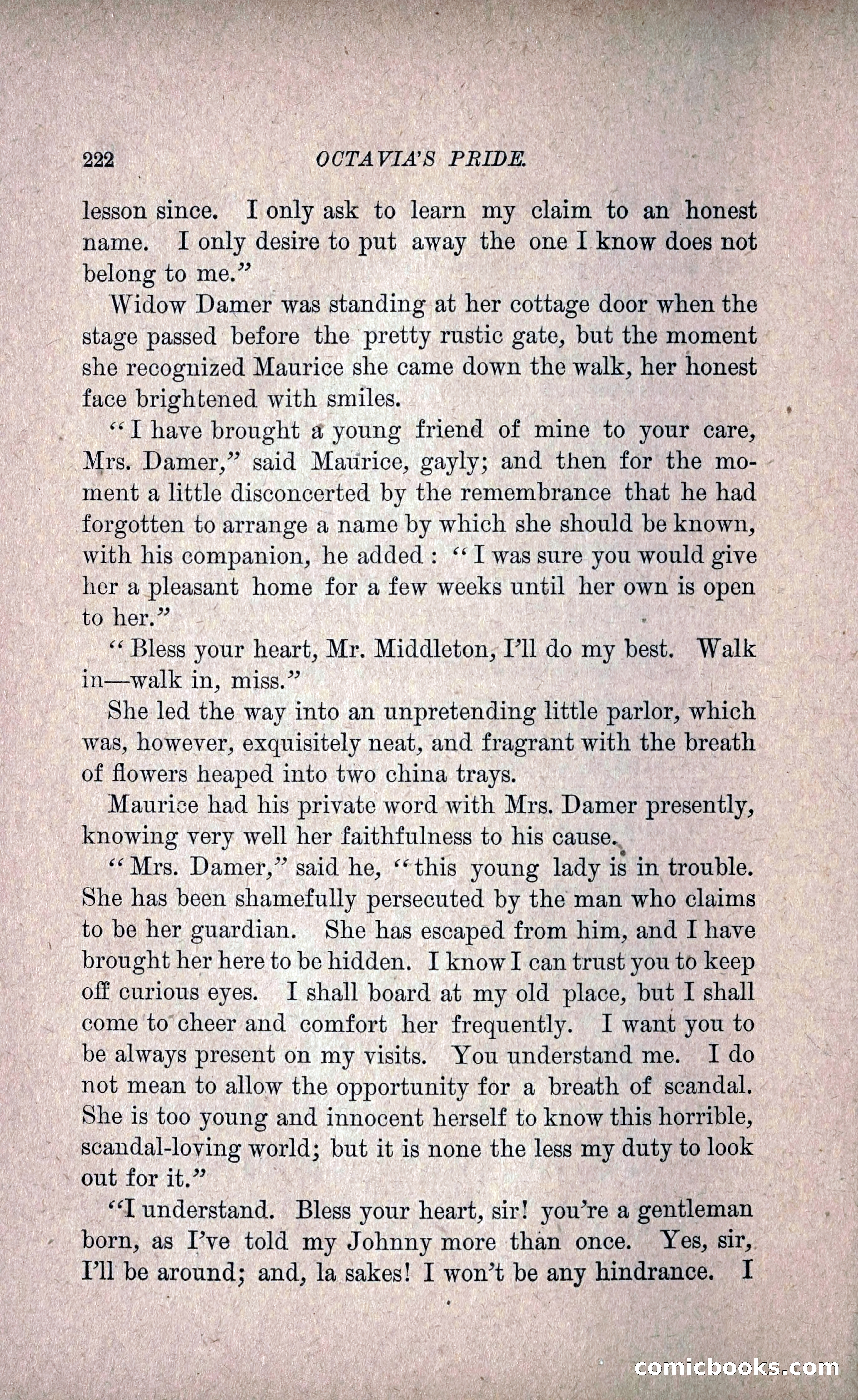 Octavia's Pride; or, The Missing Witness — page 232 of 284
