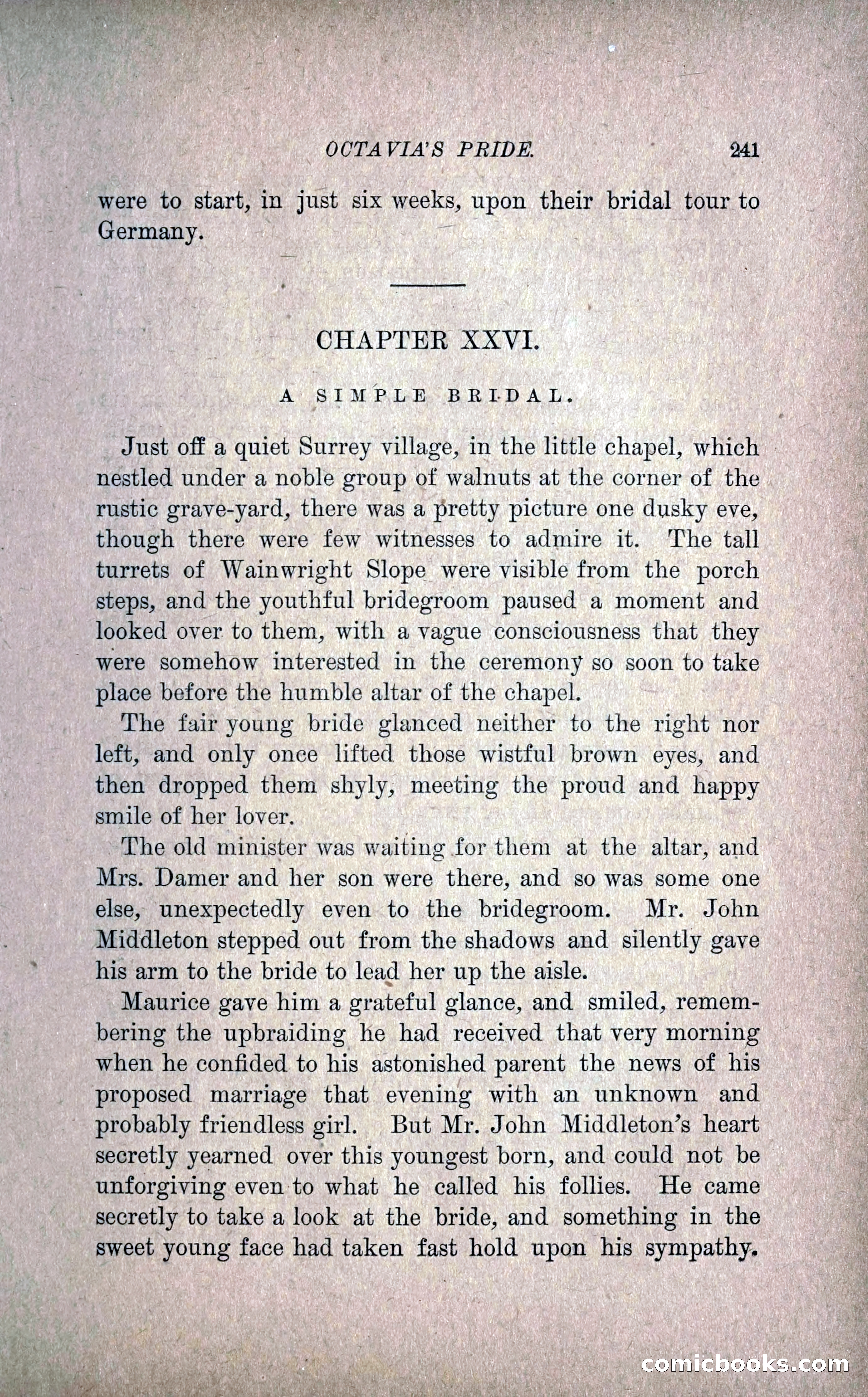 Octavia's Pride; or, The Missing Witness — page 251 of 284