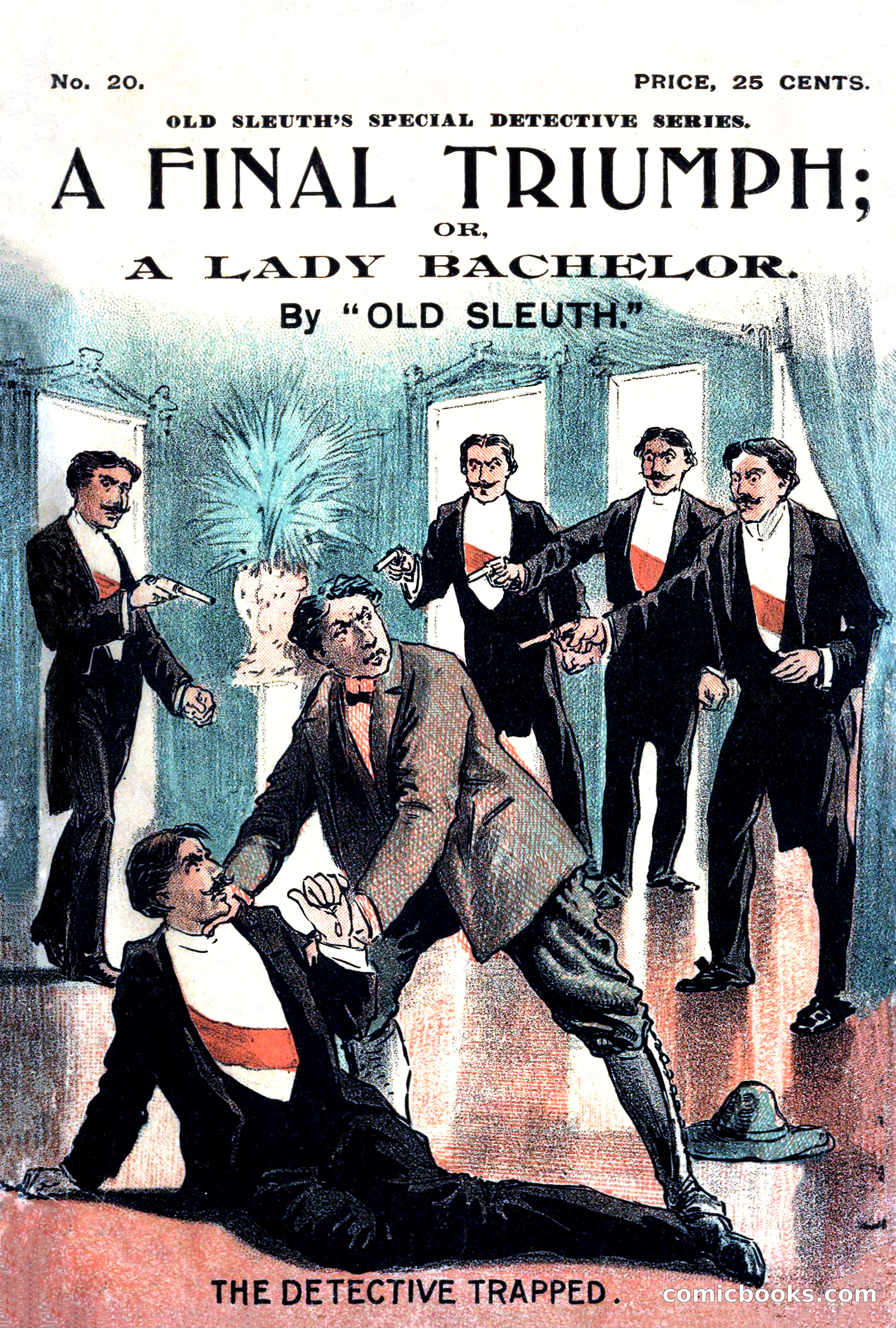 A Final Triumph; or, A Lady Bachelor — page 1 of 164