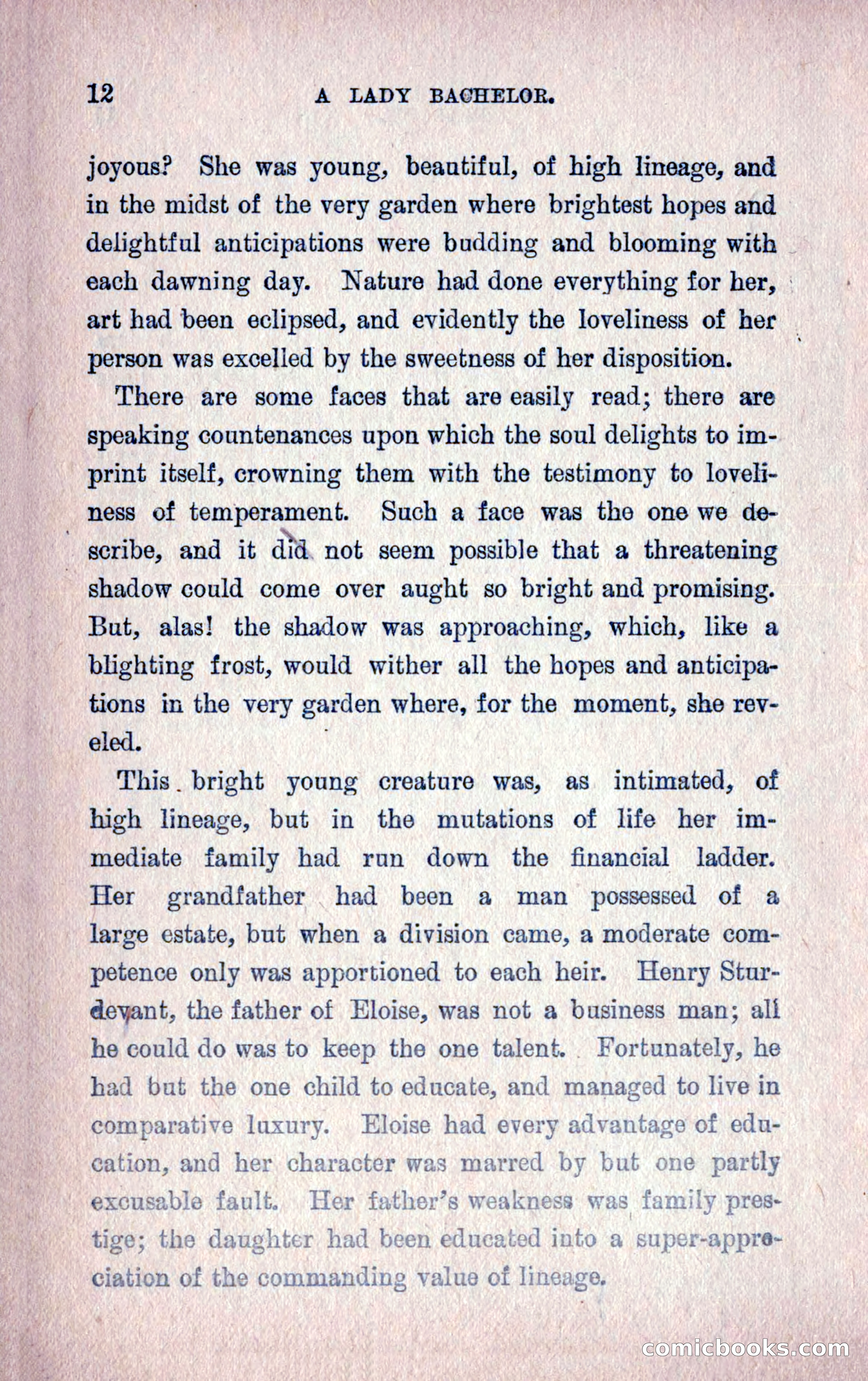 A Final Triumph; or, A Lady Bachelor — page 14 of 164