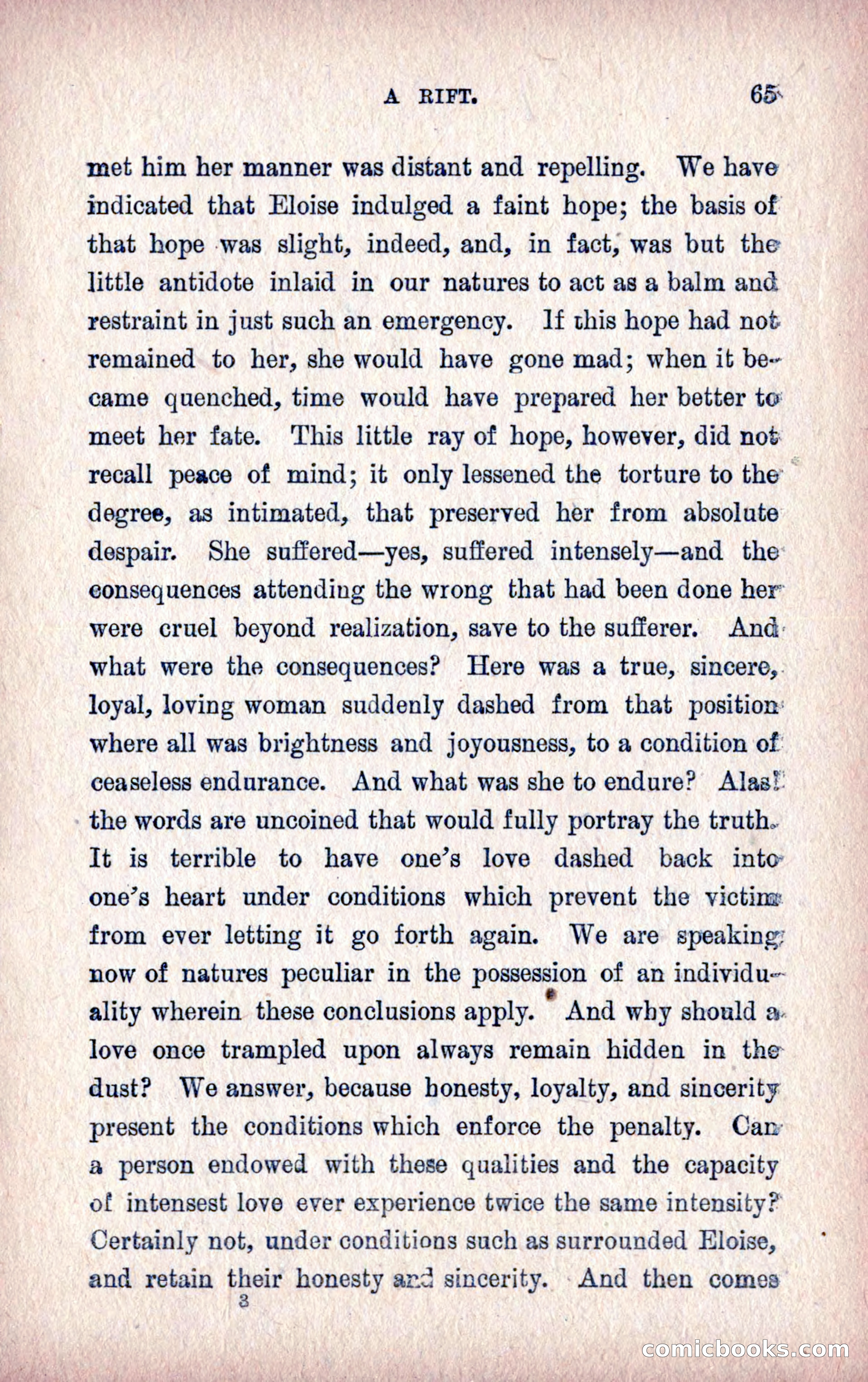A Final Triumph; or, A Lady Bachelor — page 67 of 164