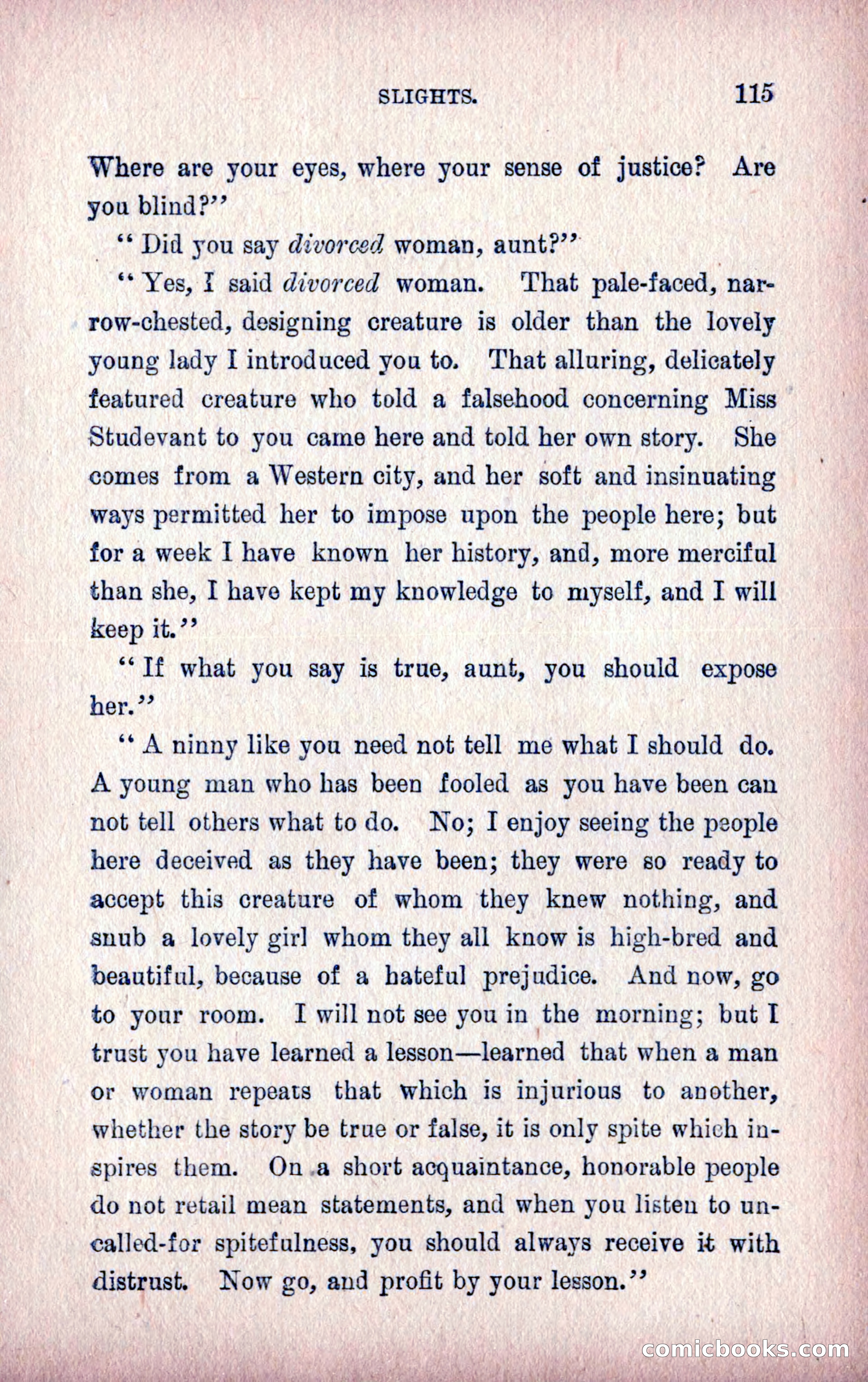 A Final Triumph; or, A Lady Bachelor — page 117 of 164