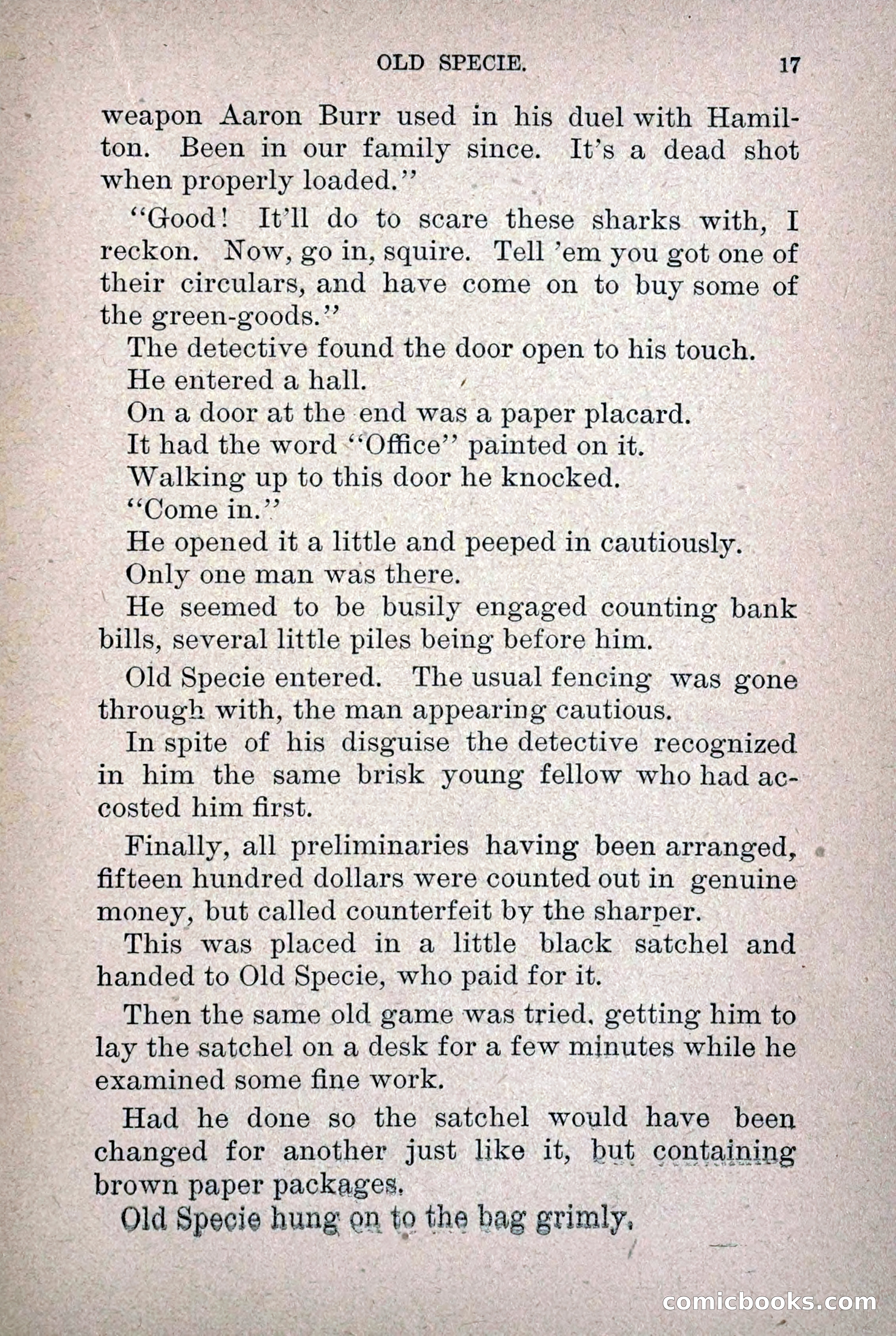 Old Specie, the Treasury Detective; or, The Harbor Lights of New York — page 25 of 220