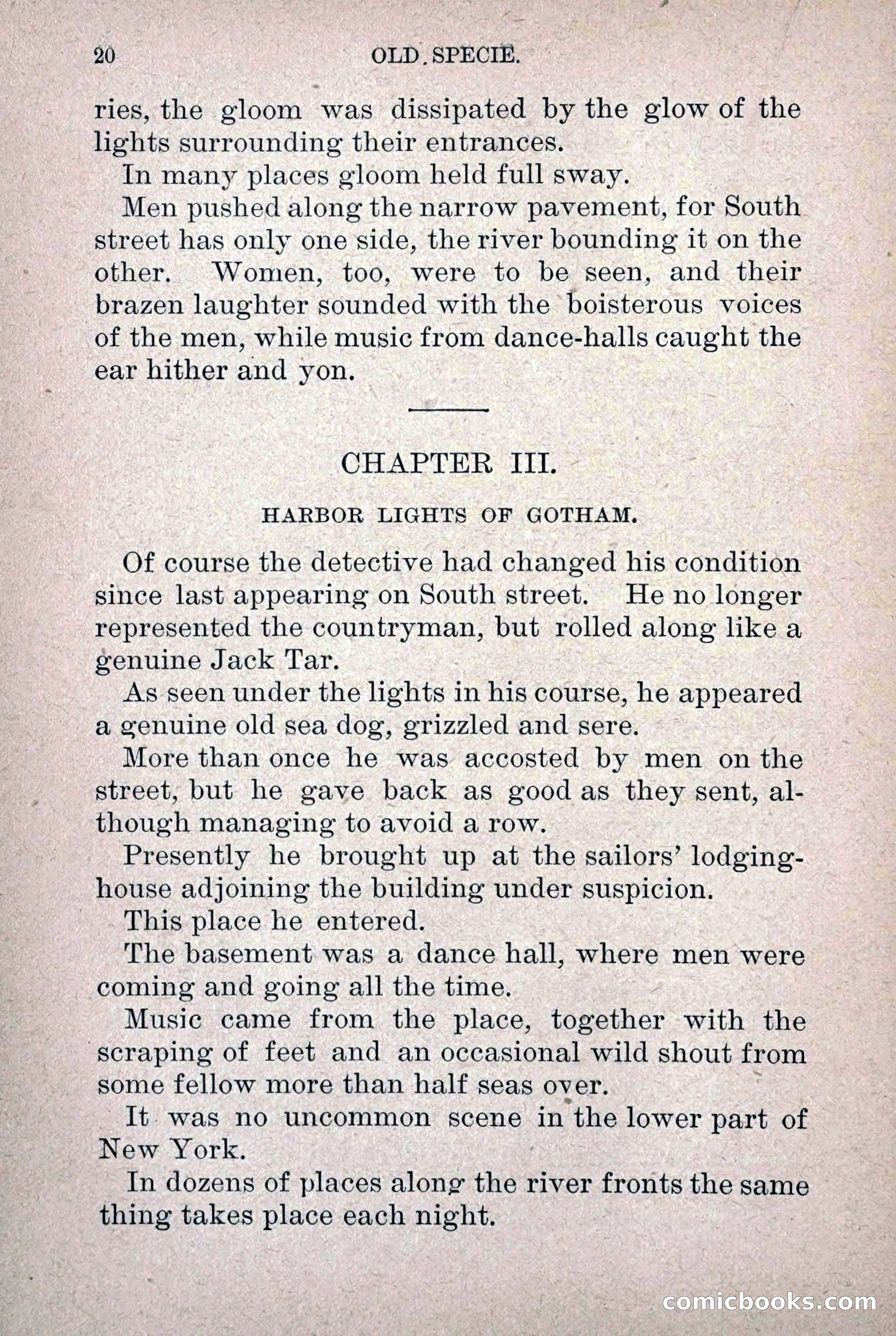 Old Specie, the Treasury Detective; or, The Harbor Lights of New York — page 28 of 220