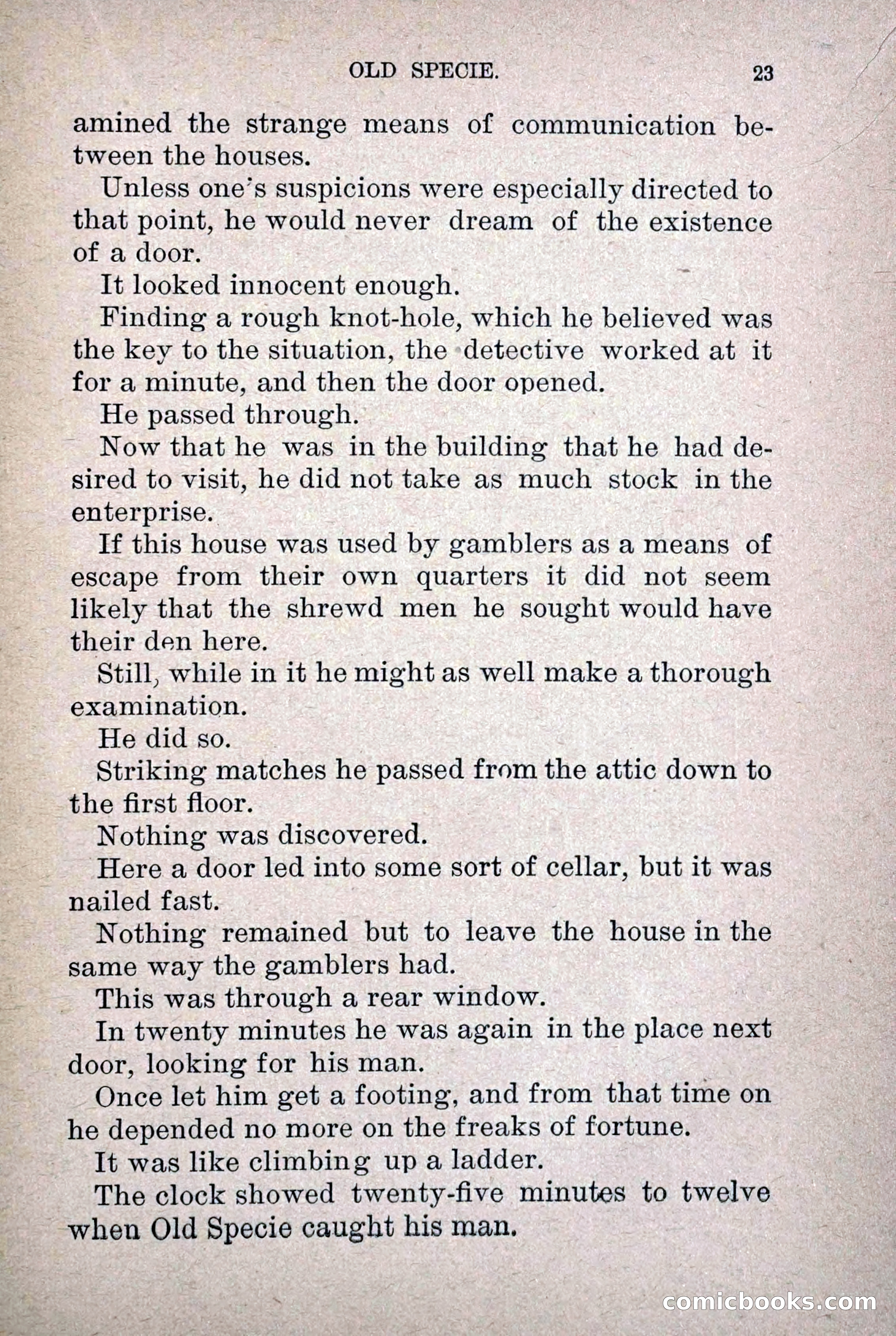 Old Specie, the Treasury Detective; or, The Harbor Lights of New York — page 31 of 220