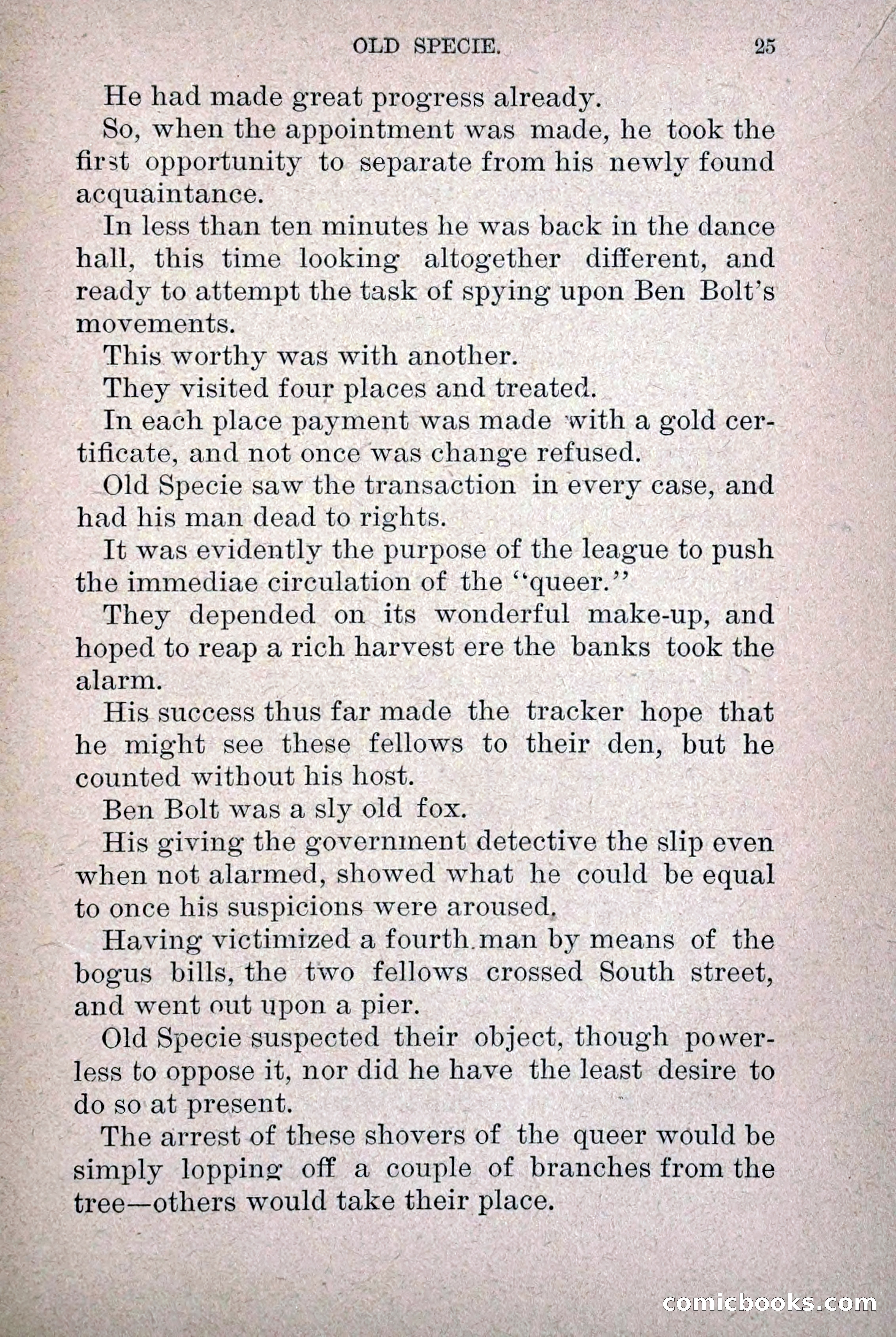 Old Specie, the Treasury Detective; or, The Harbor Lights of New York — page 33 of 220