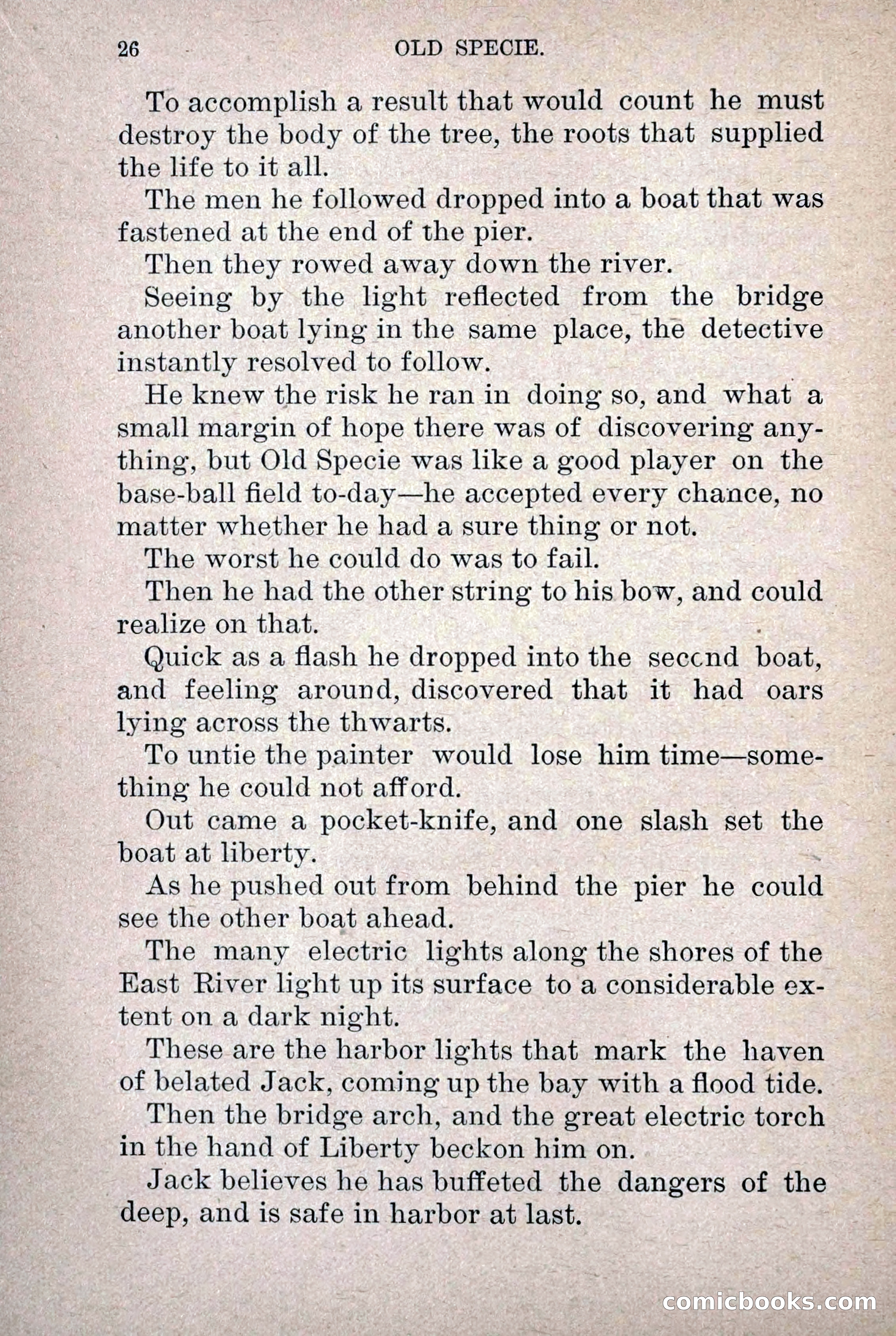 Old Specie, the Treasury Detective; or, The Harbor Lights of New York — page 34 of 220