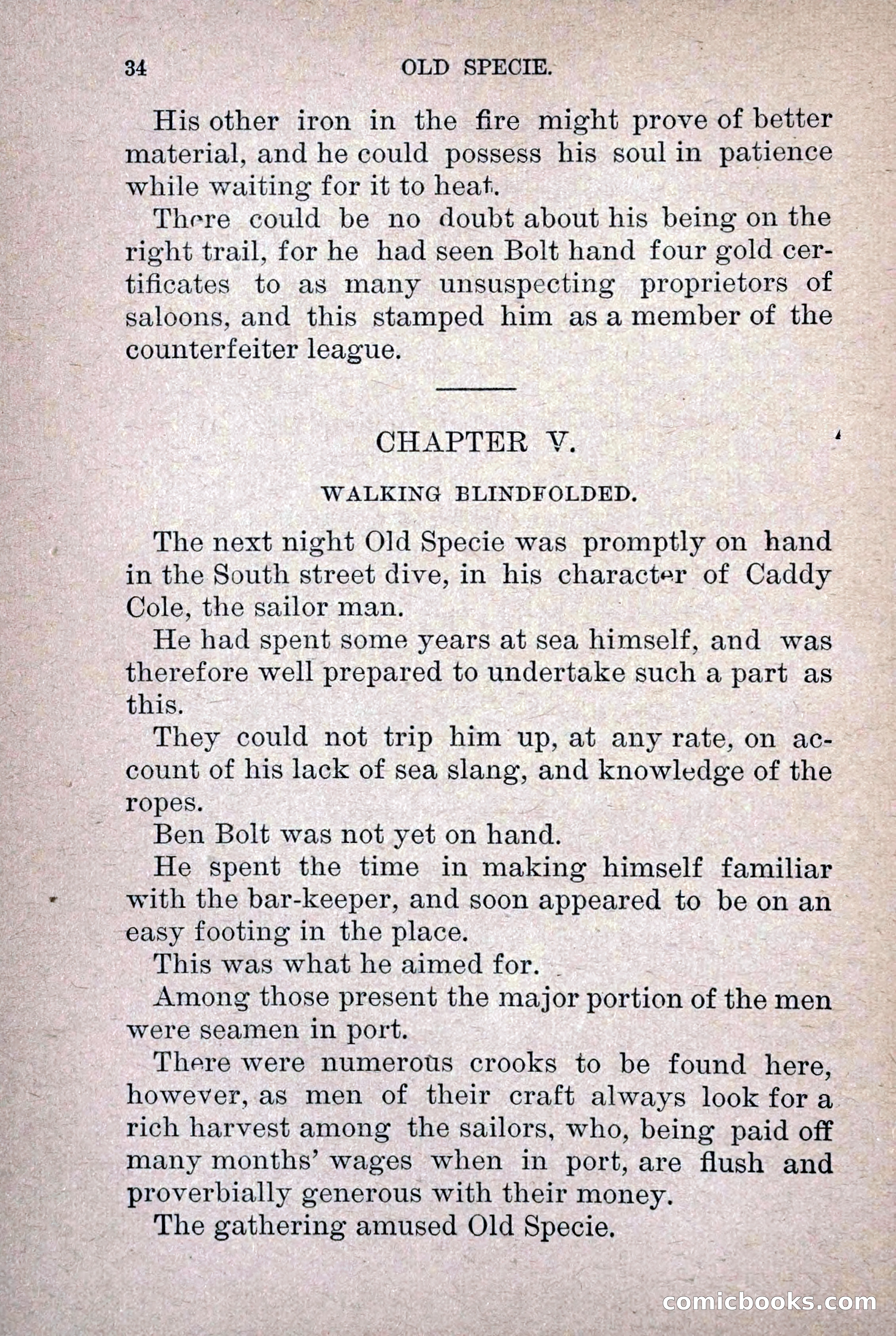 Old Specie, the Treasury Detective; or, The Harbor Lights of New York — page 42 of 220