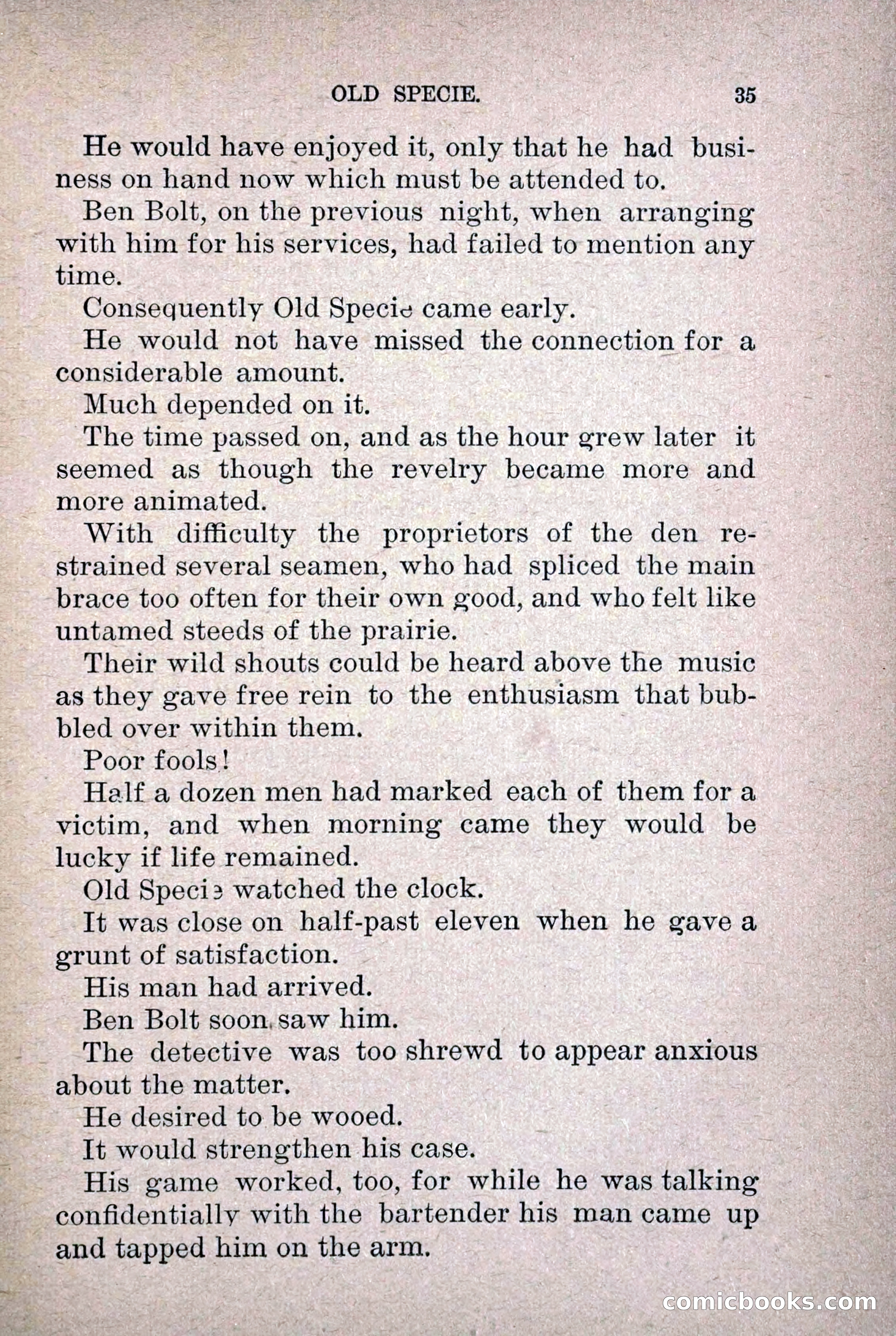 Old Specie, the Treasury Detective; or, The Harbor Lights of New York — page 43 of 220