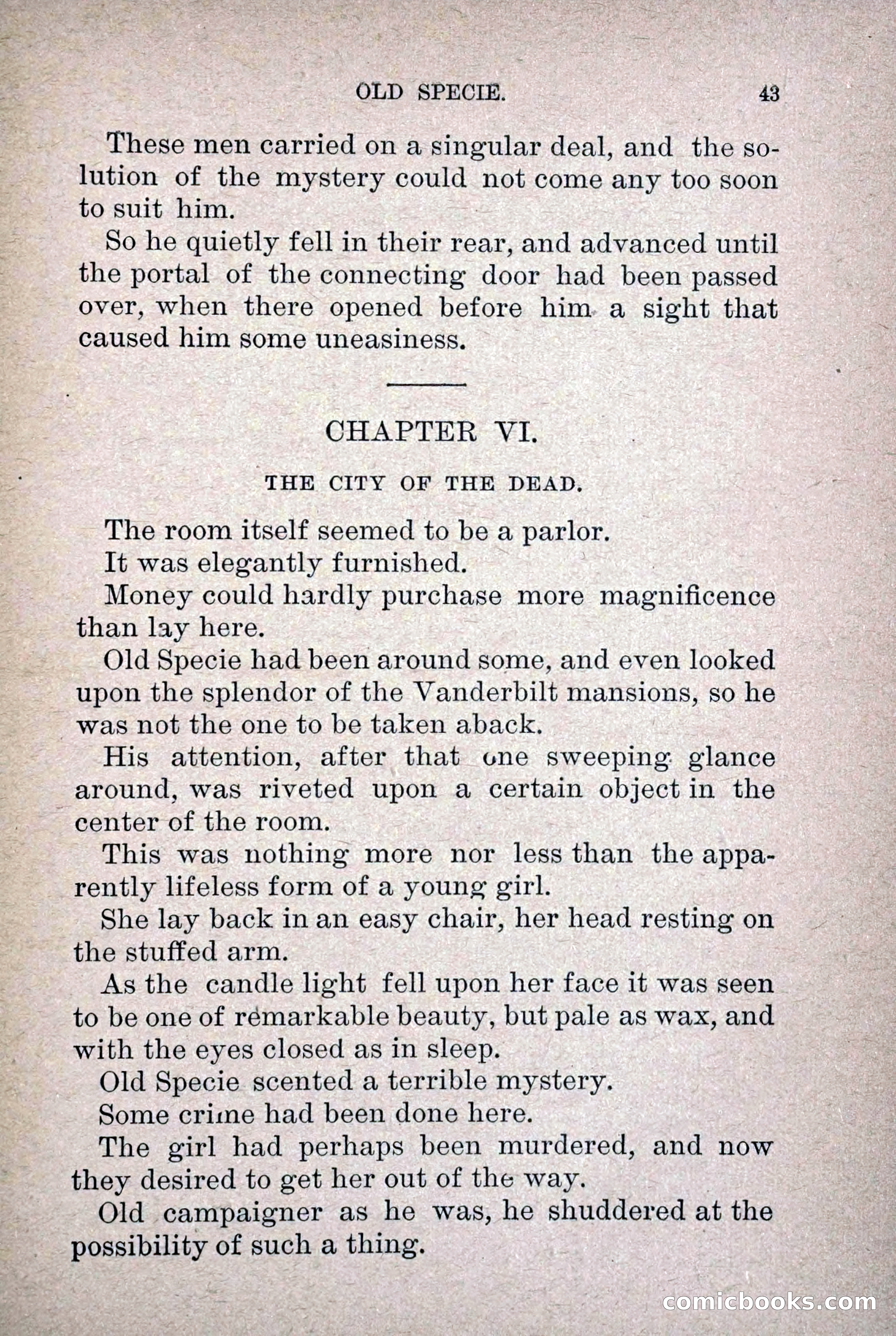 Old Specie, the Treasury Detective; or, The Harbor Lights of New York — page 51 of 220