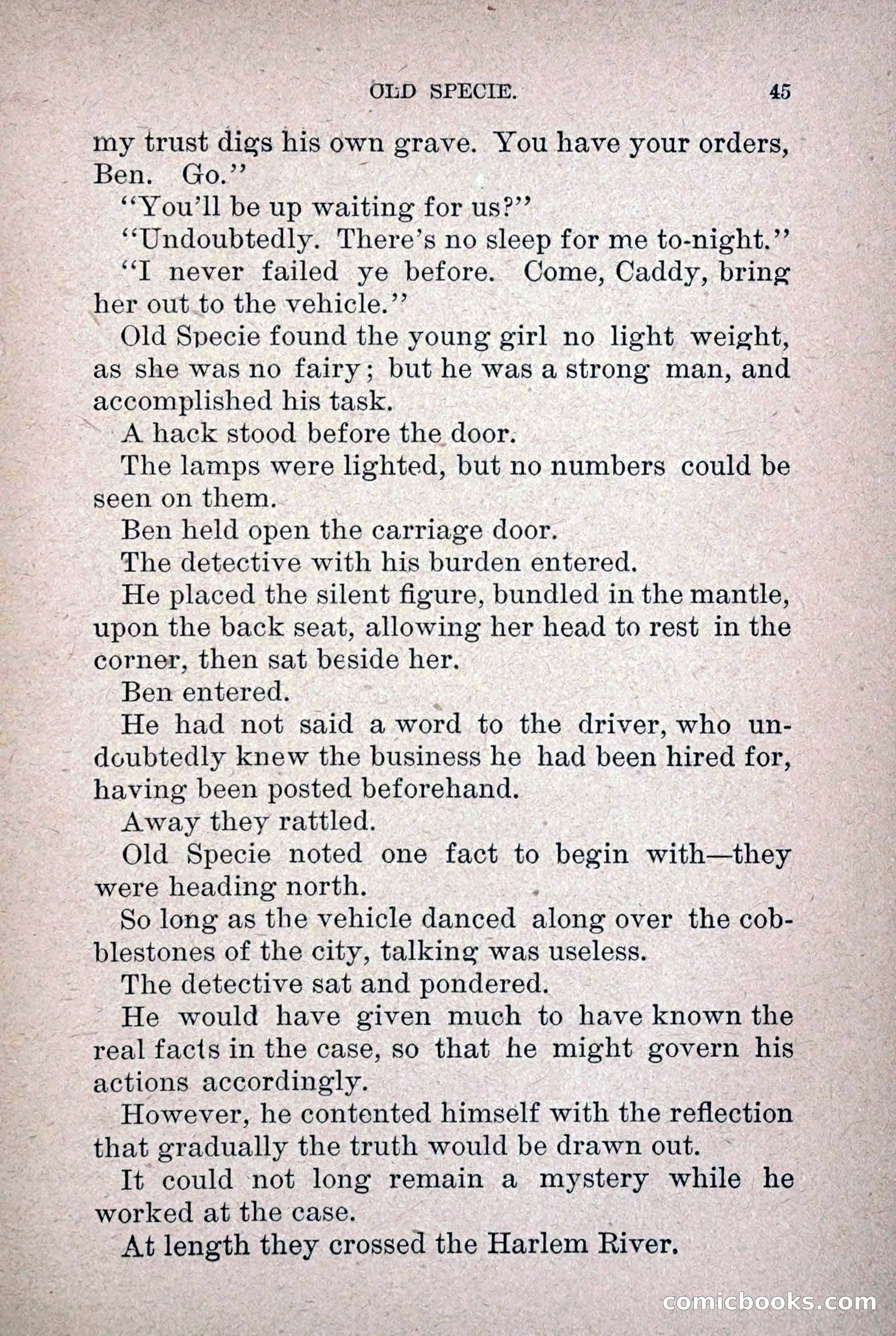 Old Specie, the Treasury Detective; or, The Harbor Lights of New York — page 53 of 220