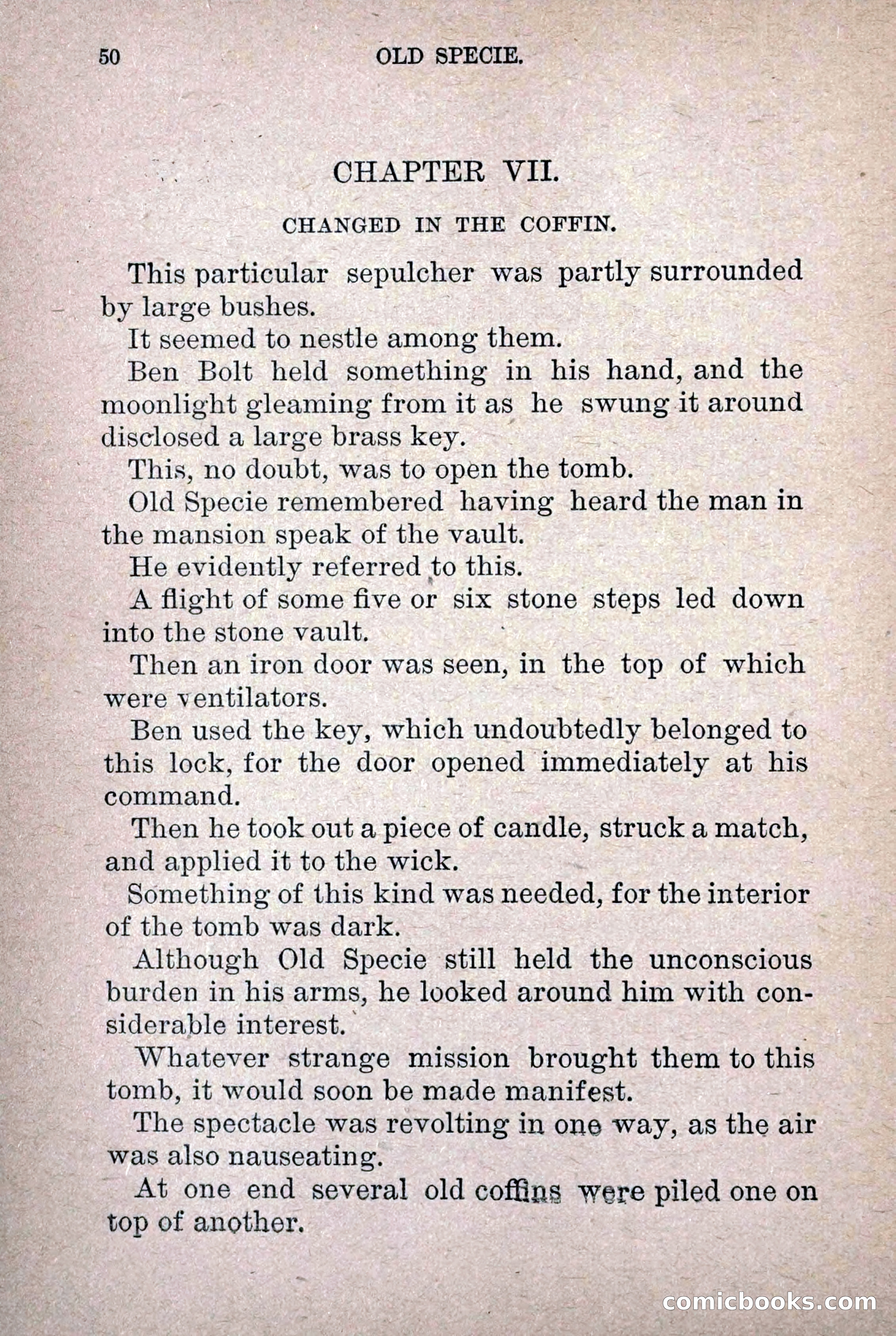 Old Specie, the Treasury Detective; or, The Harbor Lights of New York — page 58 of 220
