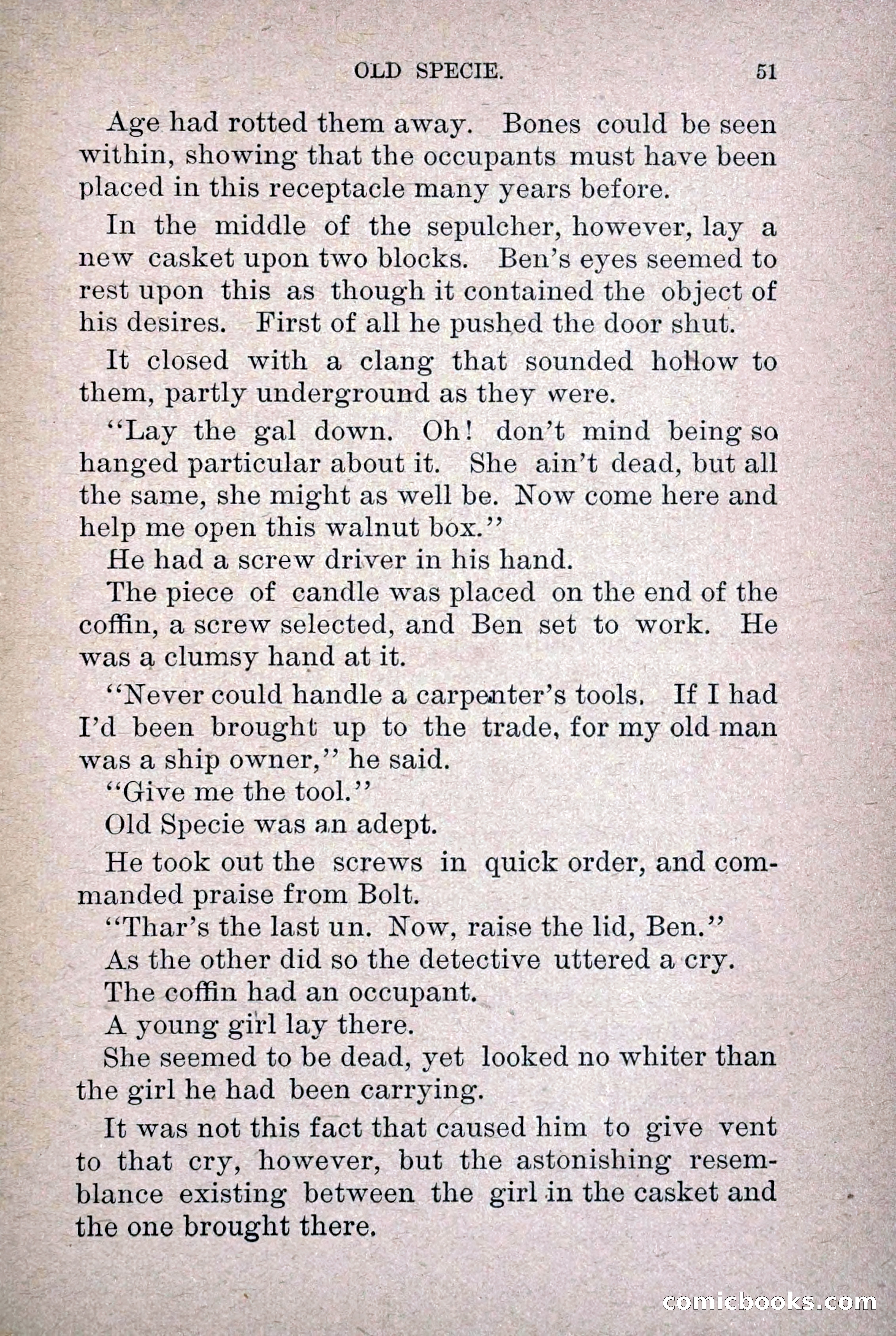 Old Specie, the Treasury Detective; or, The Harbor Lights of New York — page 59 of 220