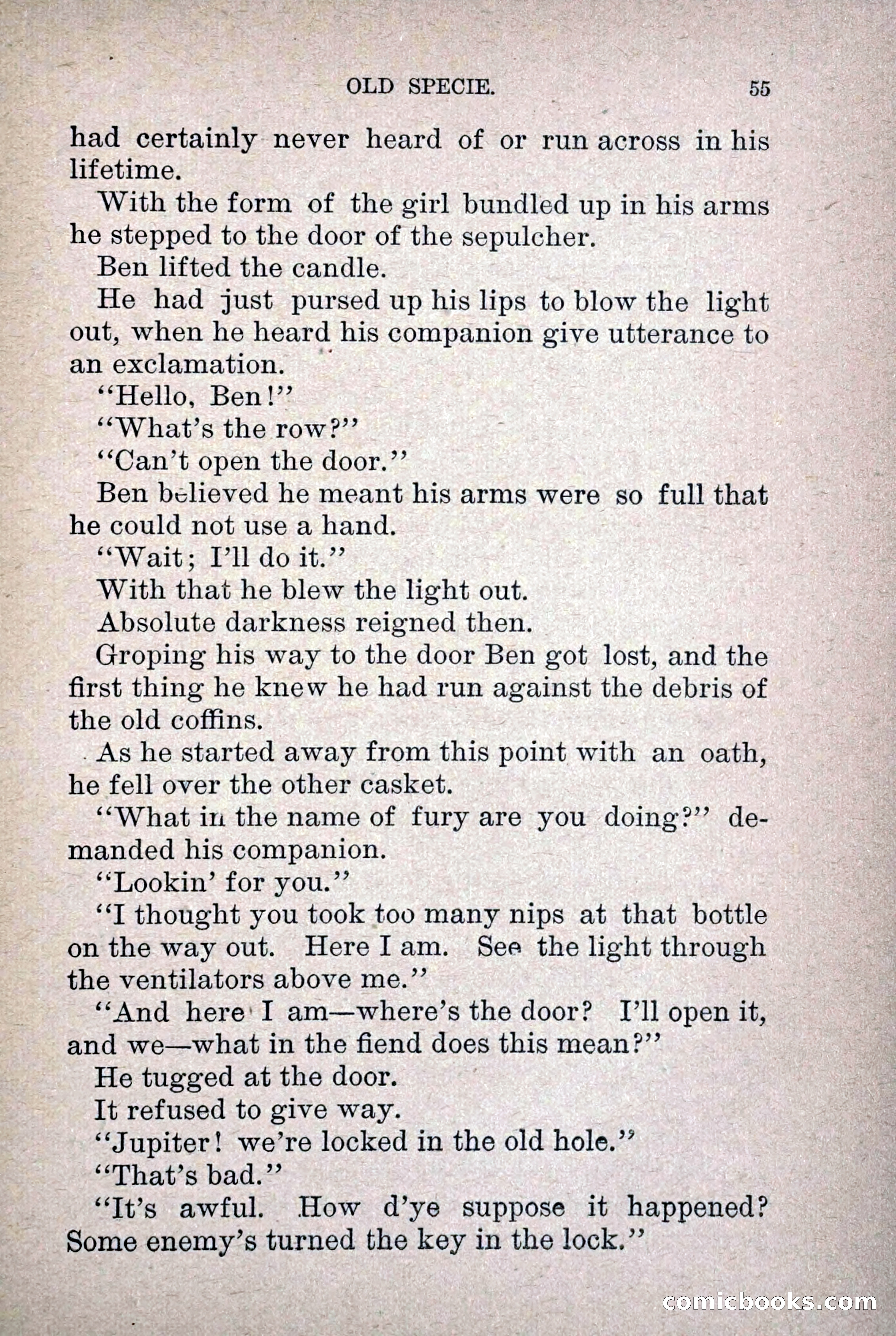 Old Specie, the Treasury Detective; or, The Harbor Lights of New York — page 63 of 220